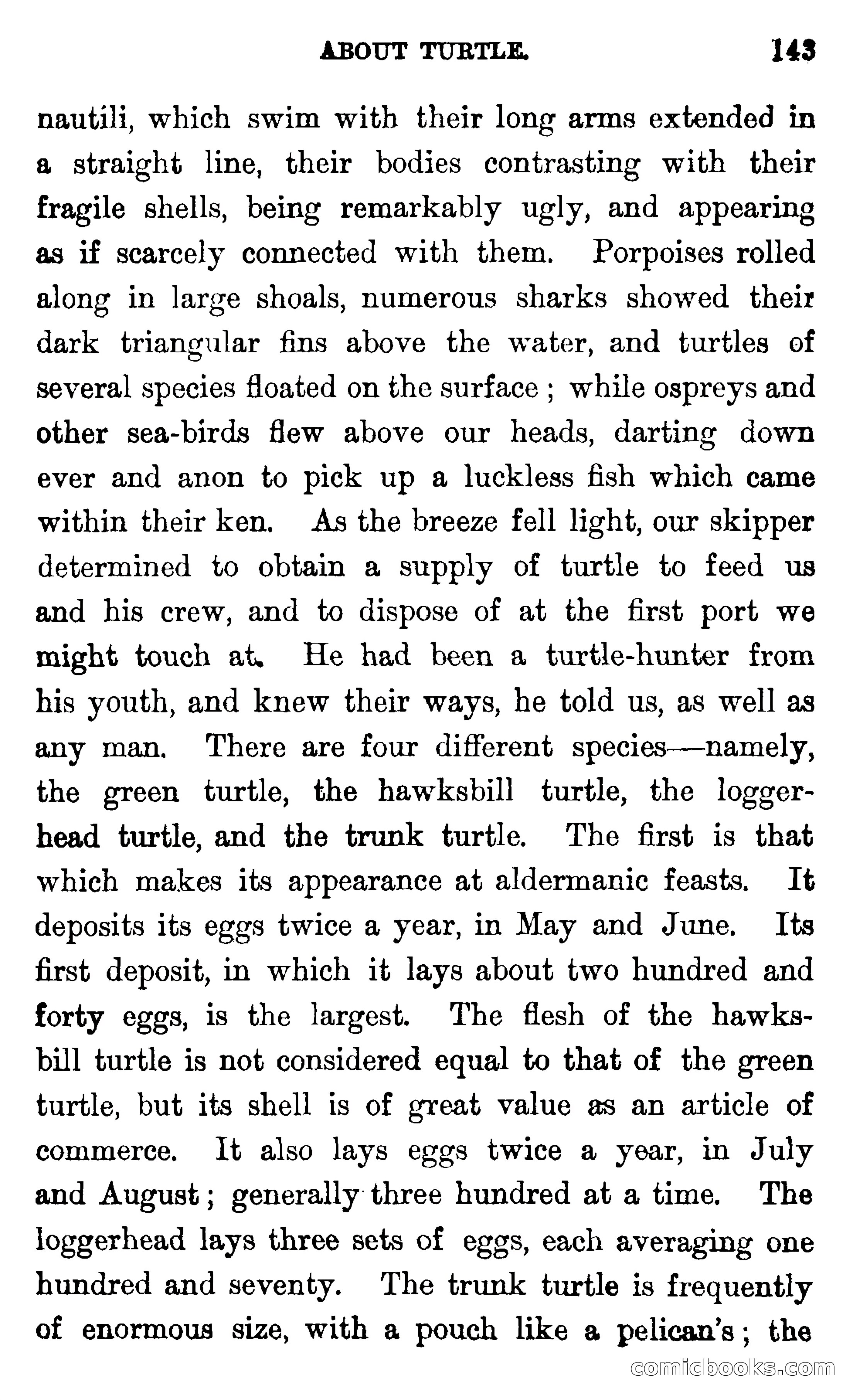 In the Wilds of Florida — page 145 of 400