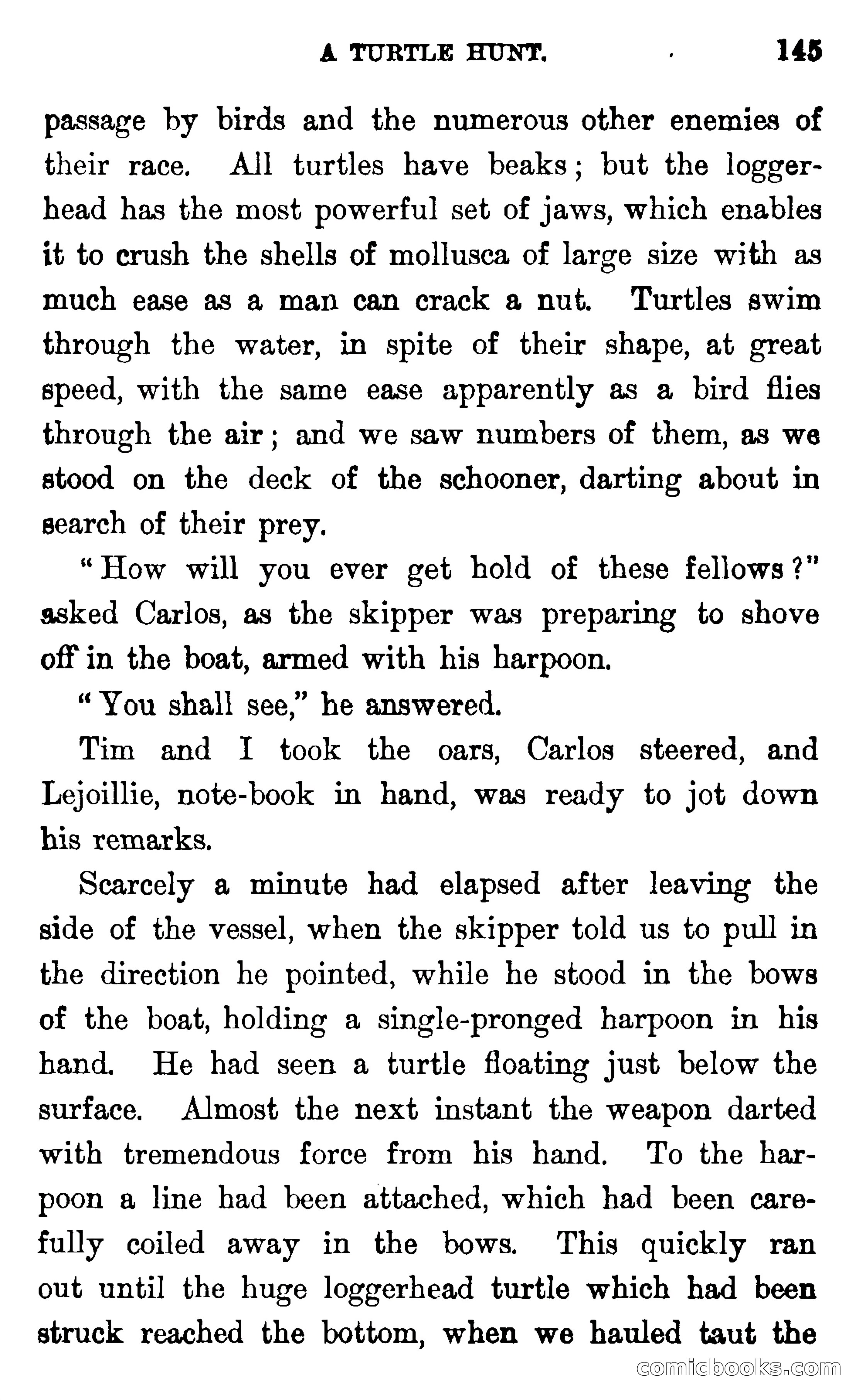 In the Wilds of Florida — page 147 of 400