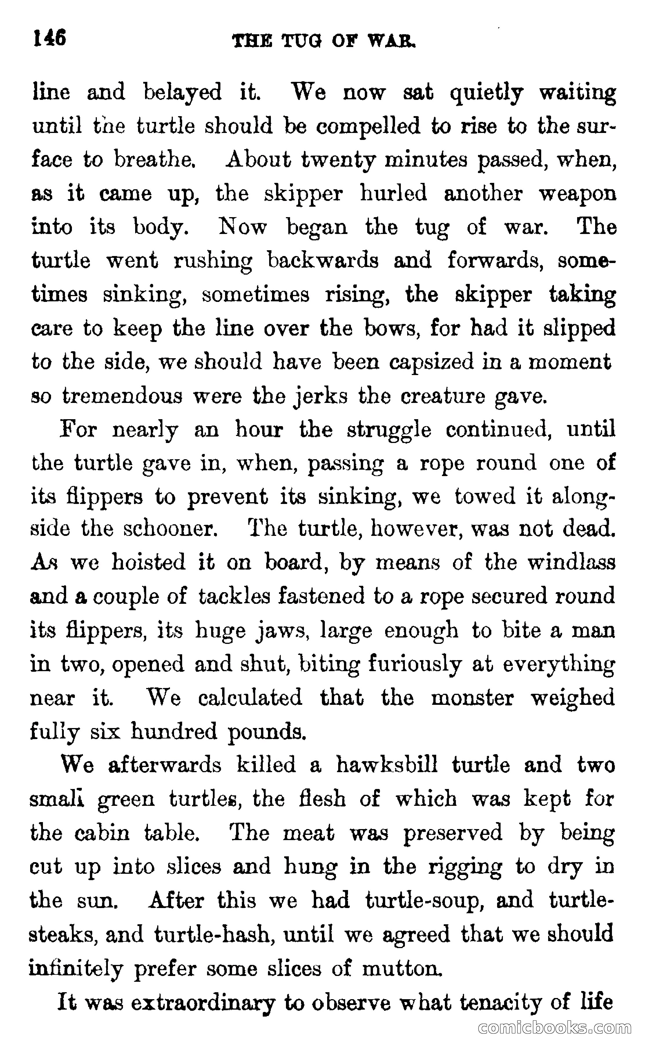 In the Wilds of Florida — page 148 of 400