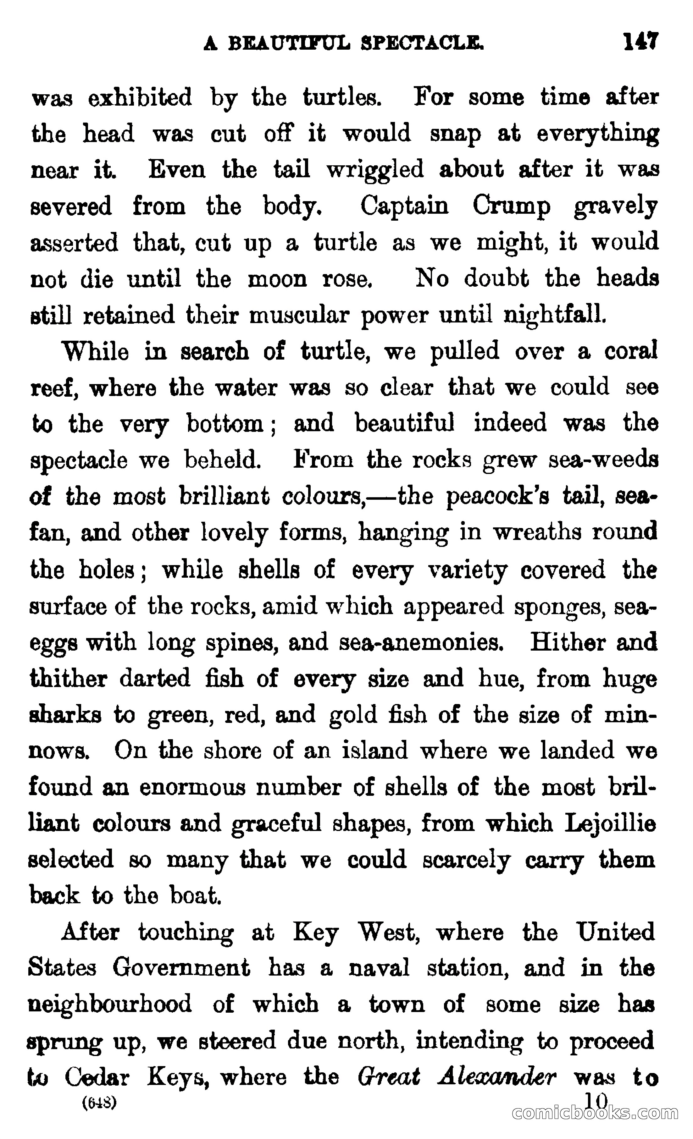 In the Wilds of Florida — page 149 of 400