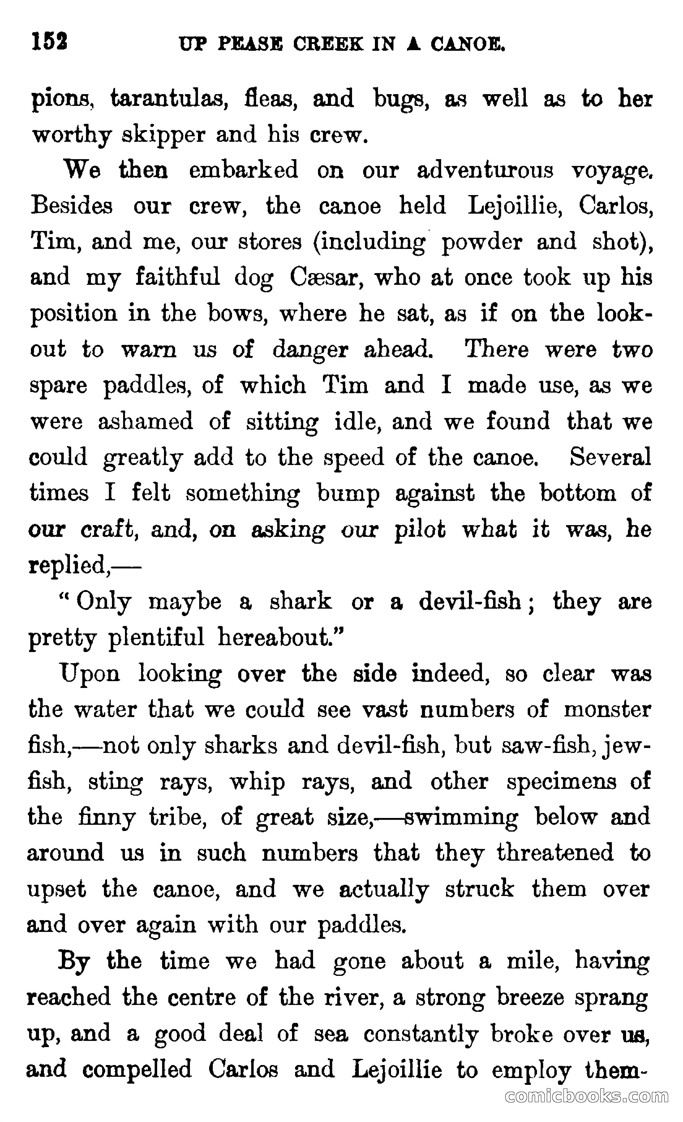 In the Wilds of Florida — page 154 of 400