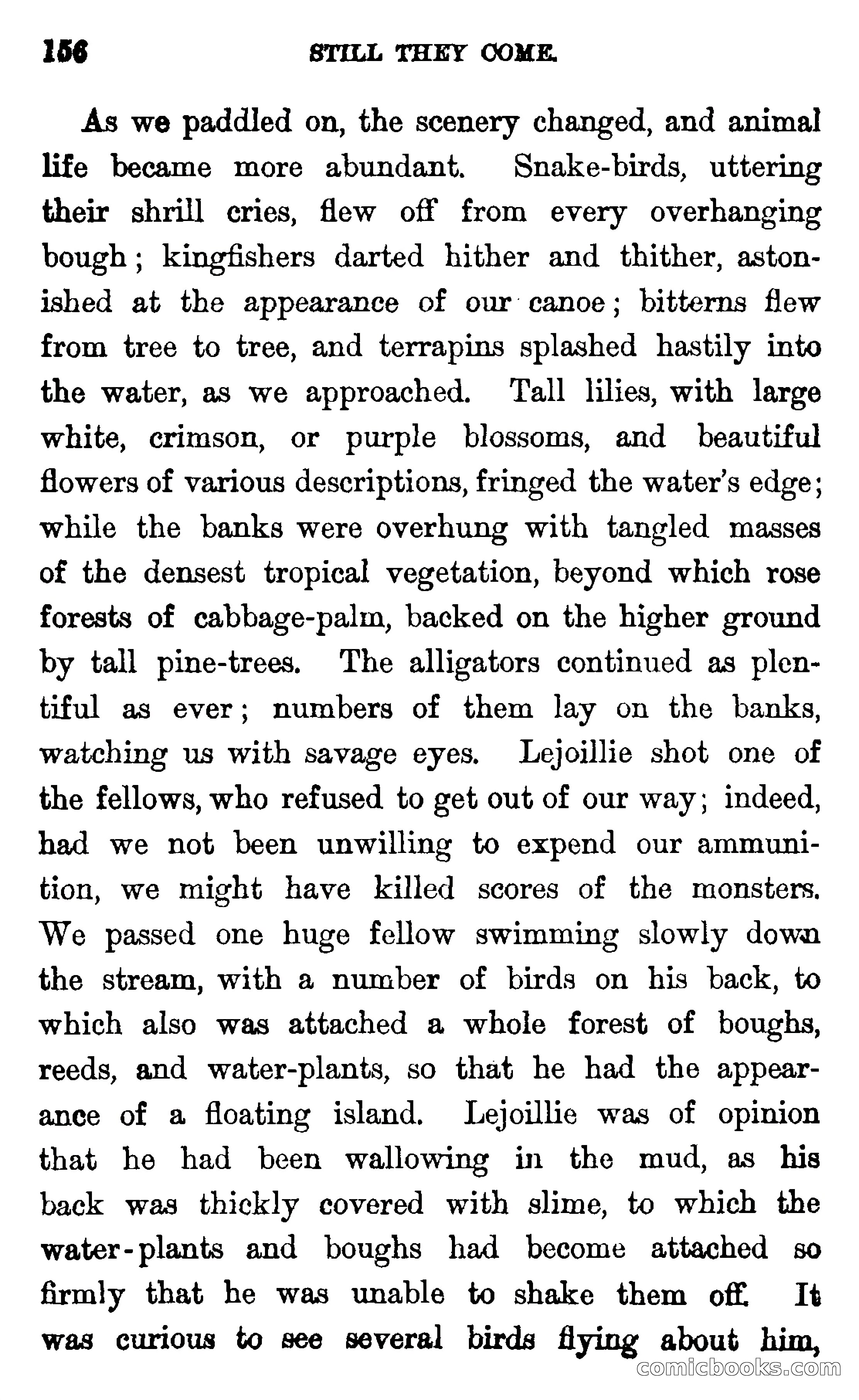 In the Wilds of Florida — page 158 of 400