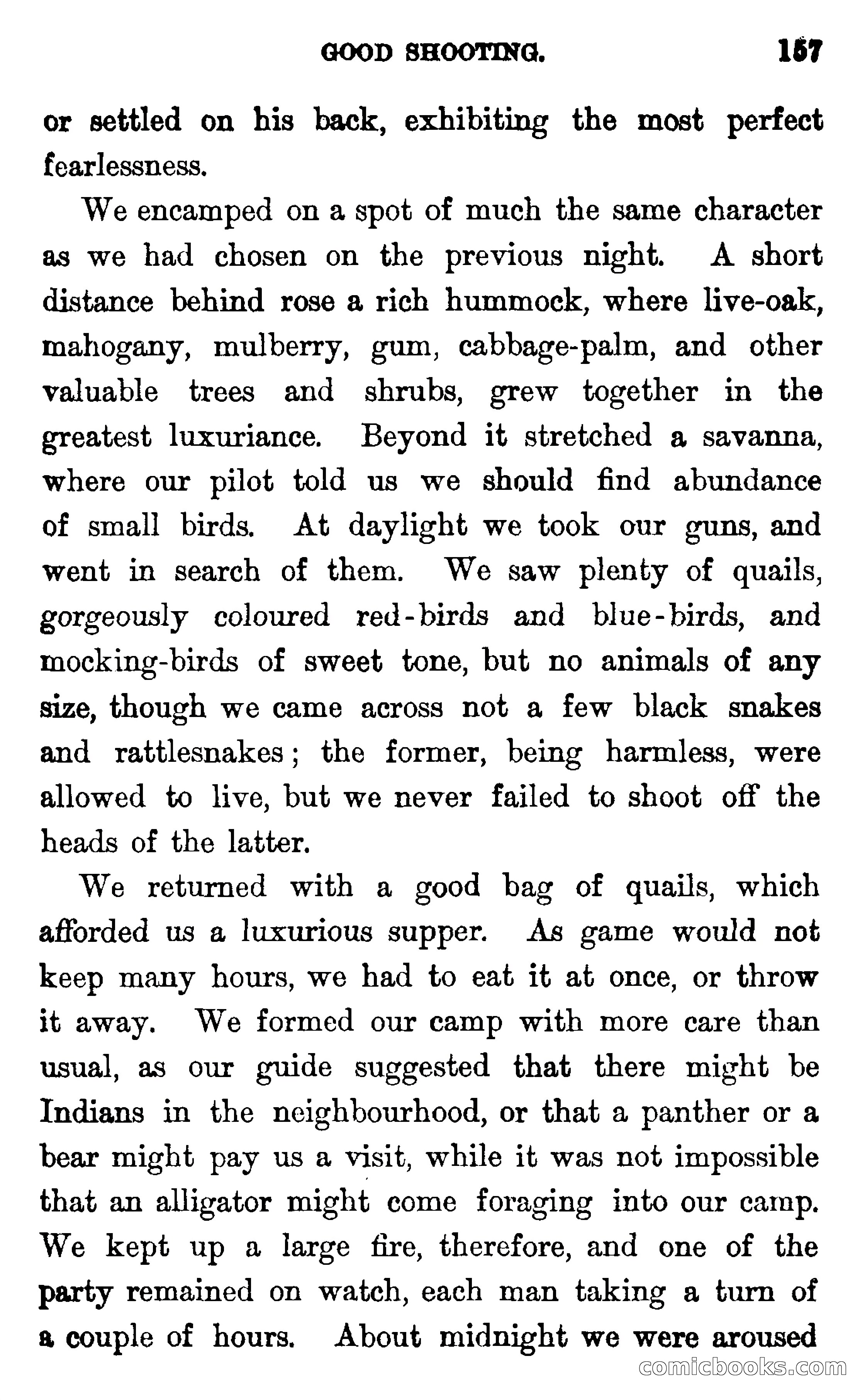 In the Wilds of Florida — page 159 of 400