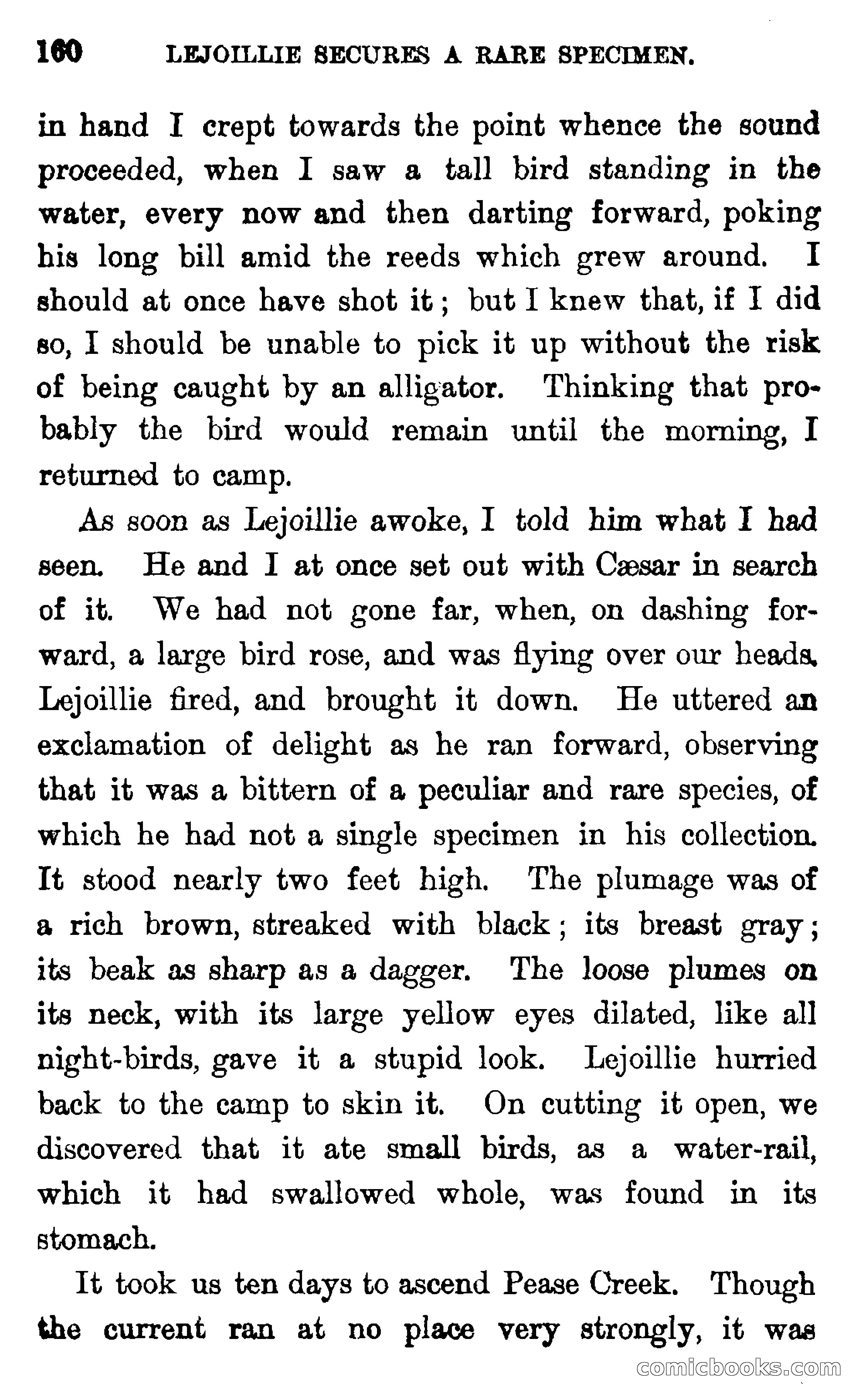 In the Wilds of Florida — page 162 of 400
