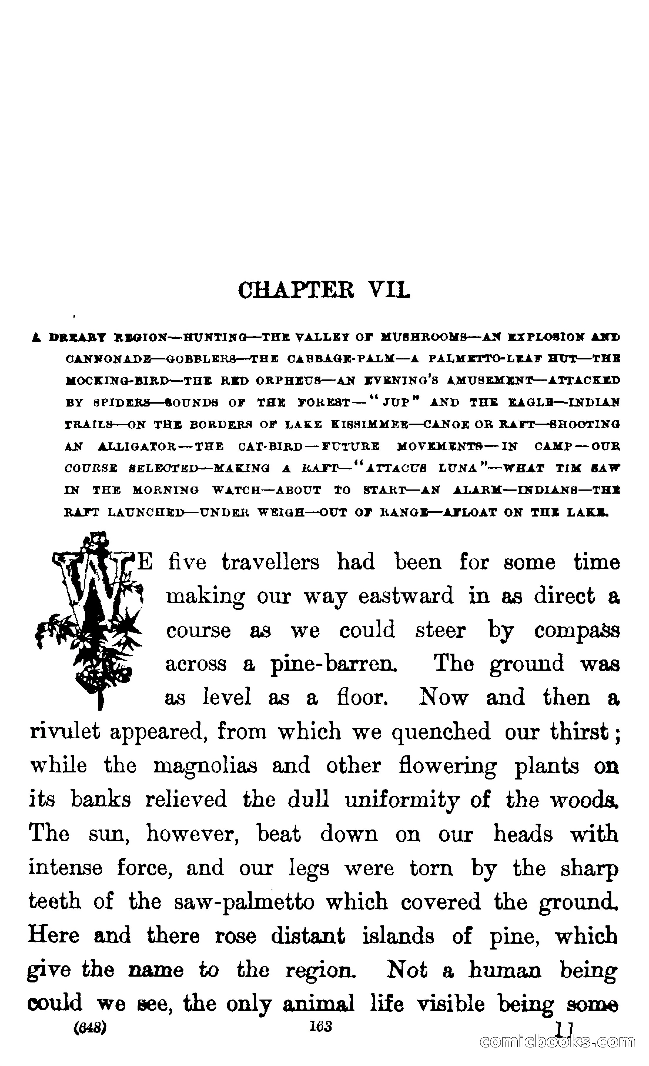In the Wilds of Florida — page 165 of 400