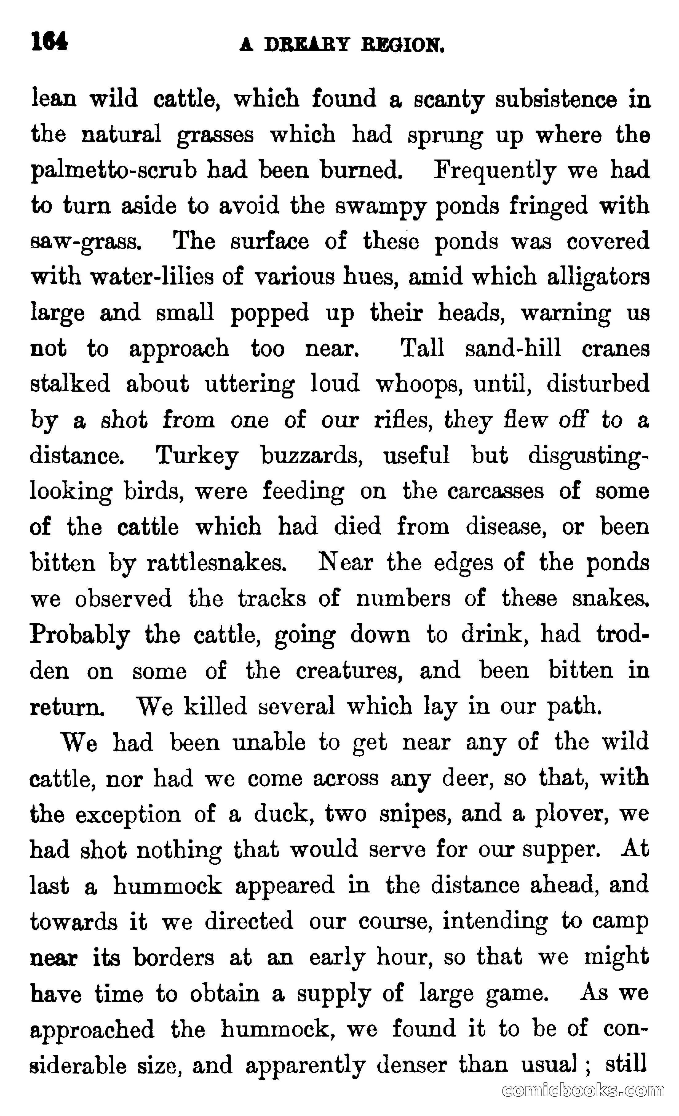 In the Wilds of Florida — page 166 of 400