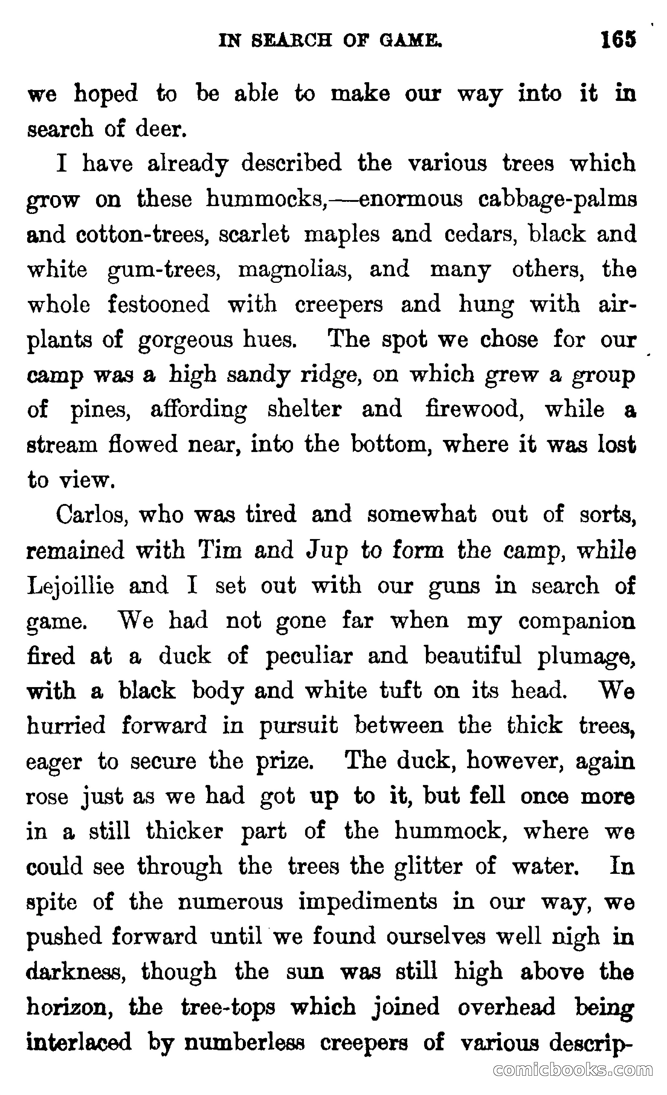 In the Wilds of Florida — page 167 of 400