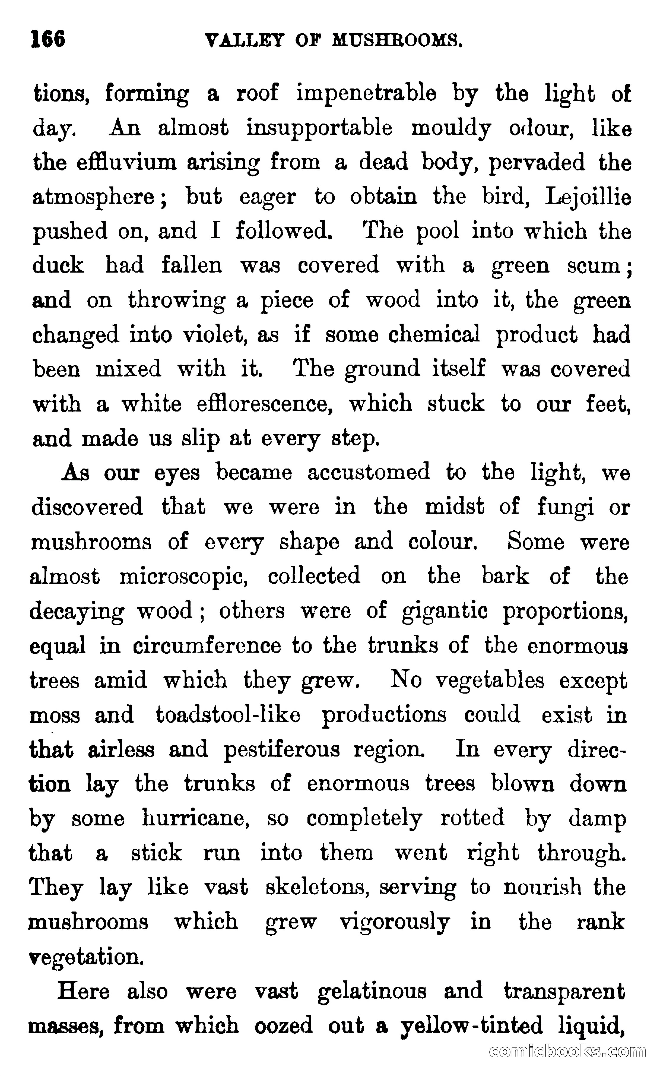 In the Wilds of Florida — page 168 of 400