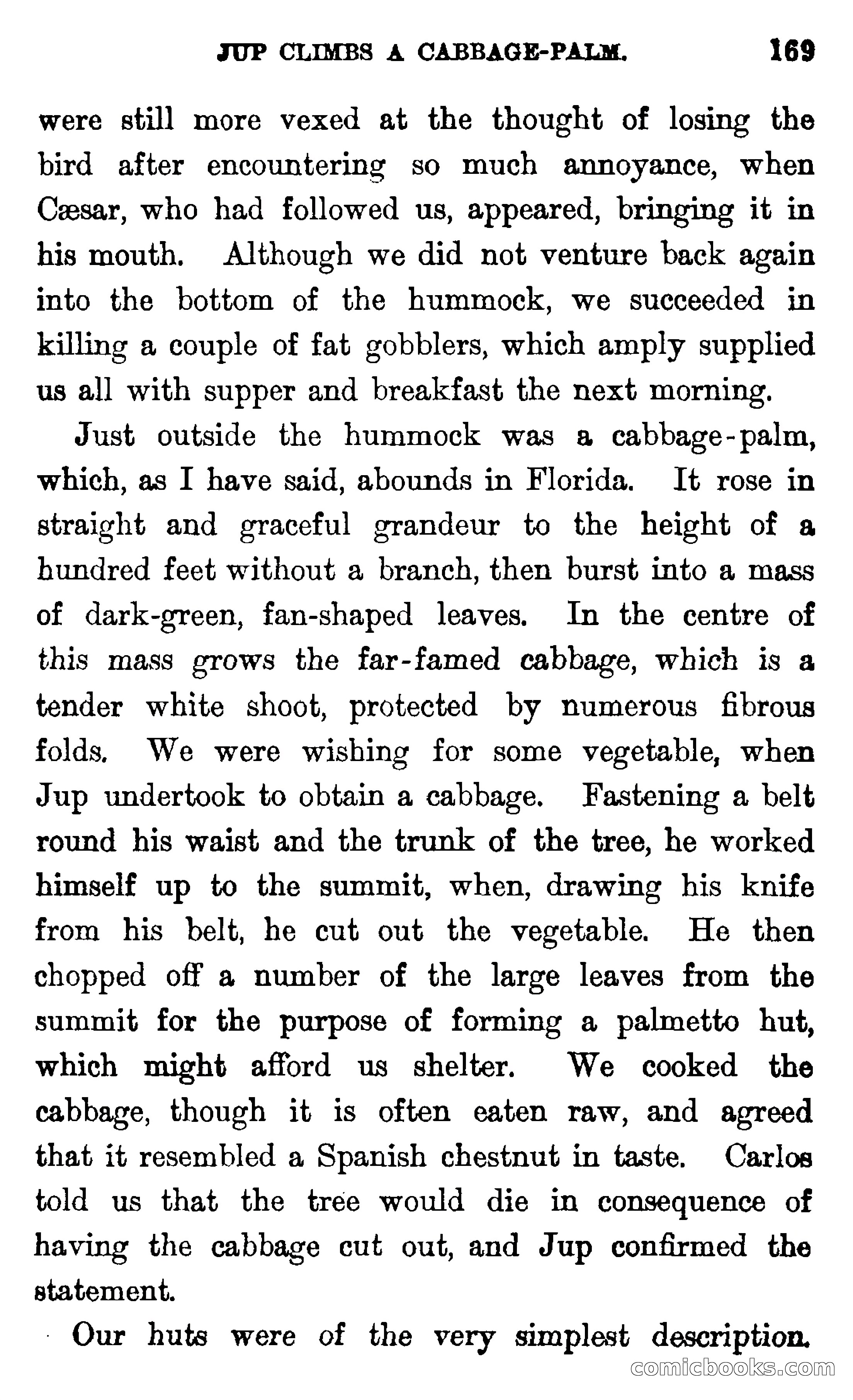 In the Wilds of Florida — page 171 of 400