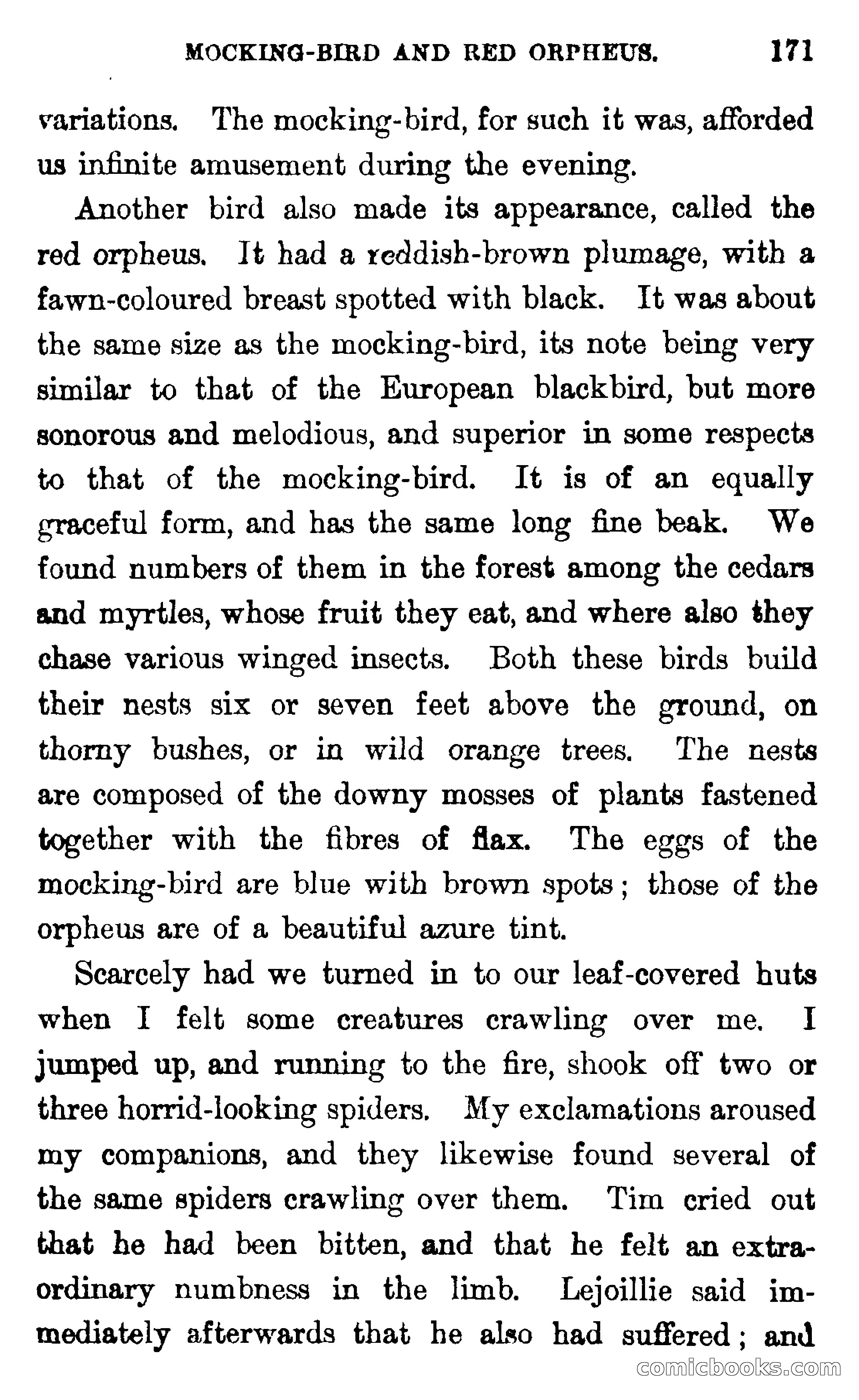 In the Wilds of Florida — page 173 of 400
