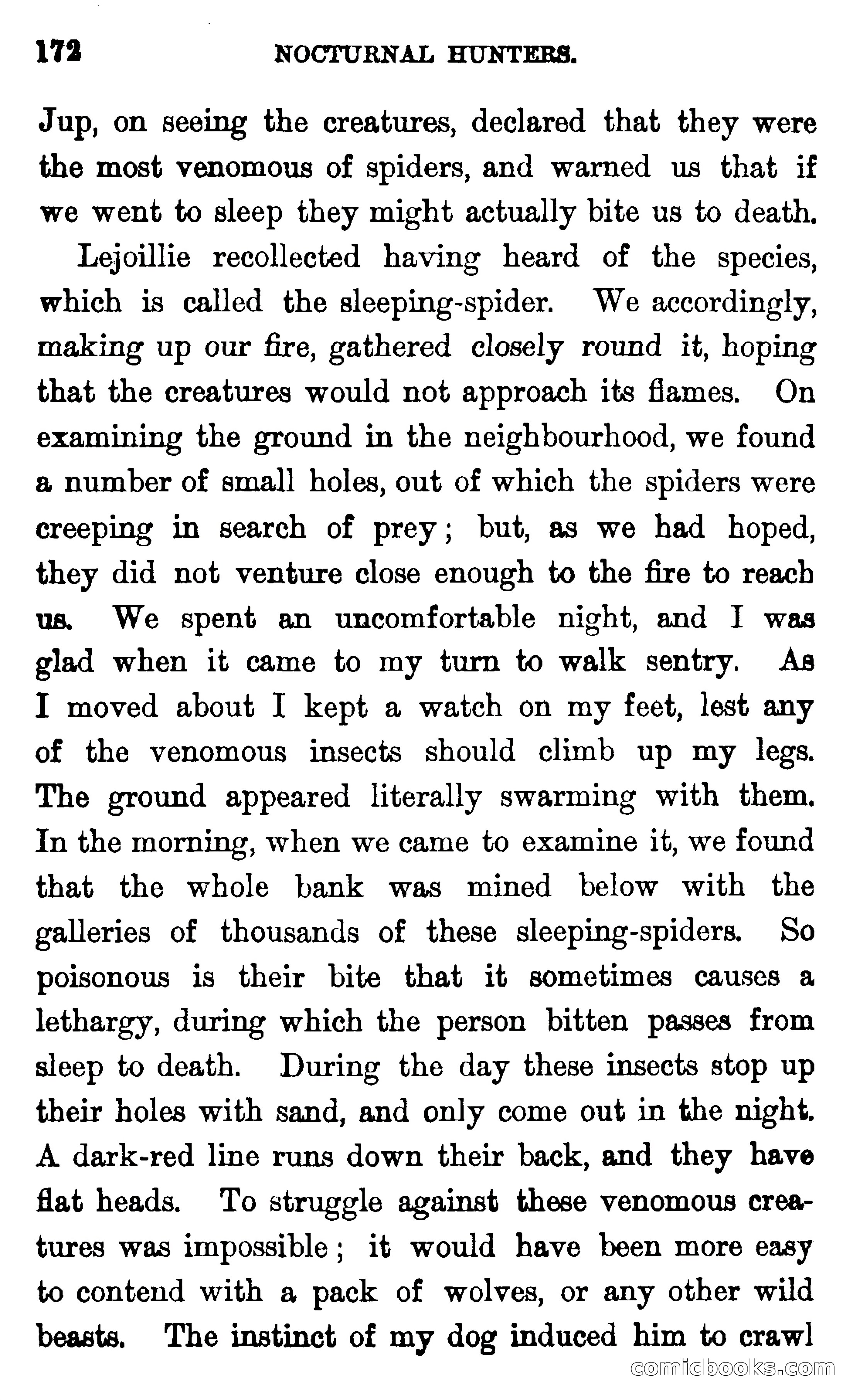 In the Wilds of Florida — page 174 of 400