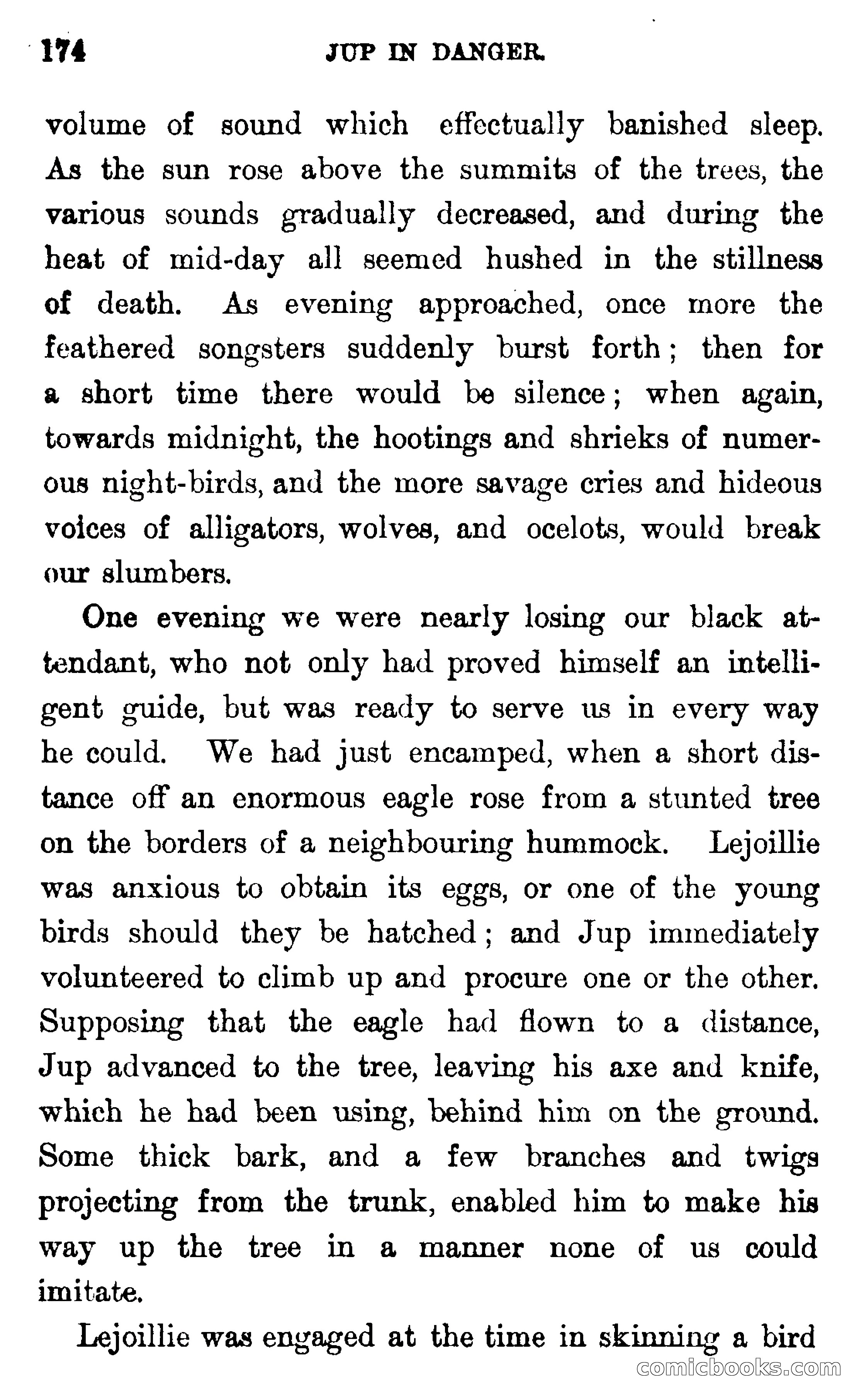 In the Wilds of Florida — page 176 of 400
