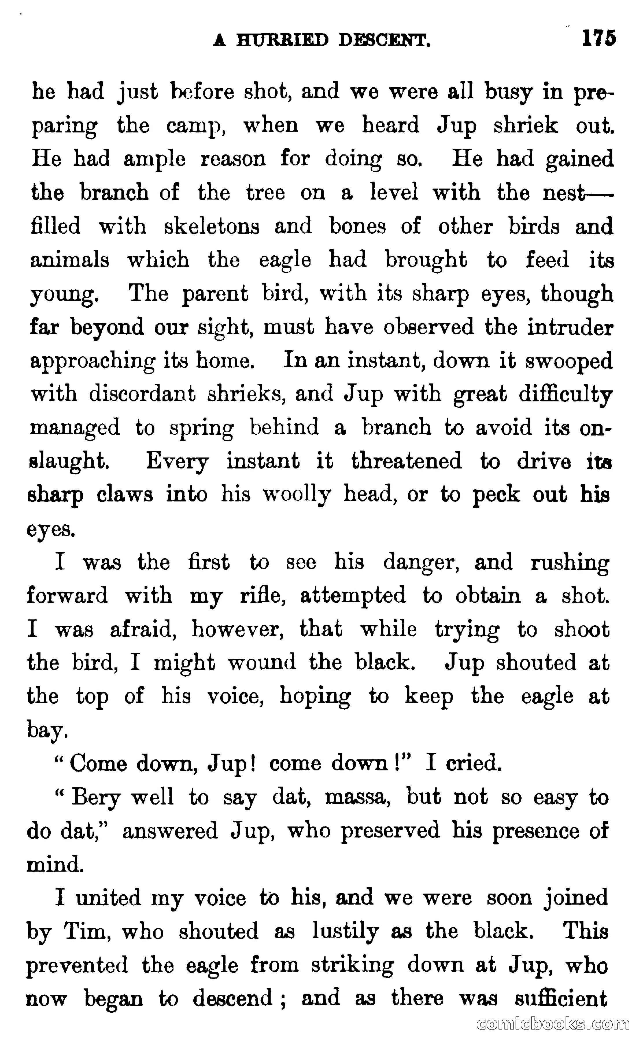 In the Wilds of Florida — page 177 of 400