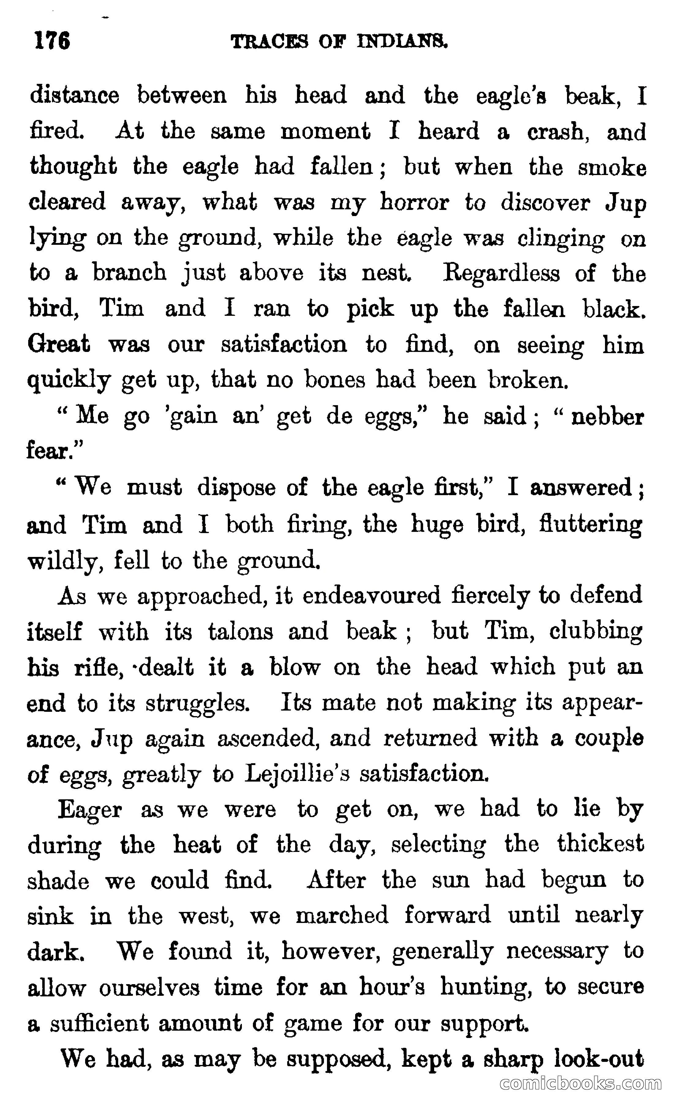 In the Wilds of Florida — page 178 of 400