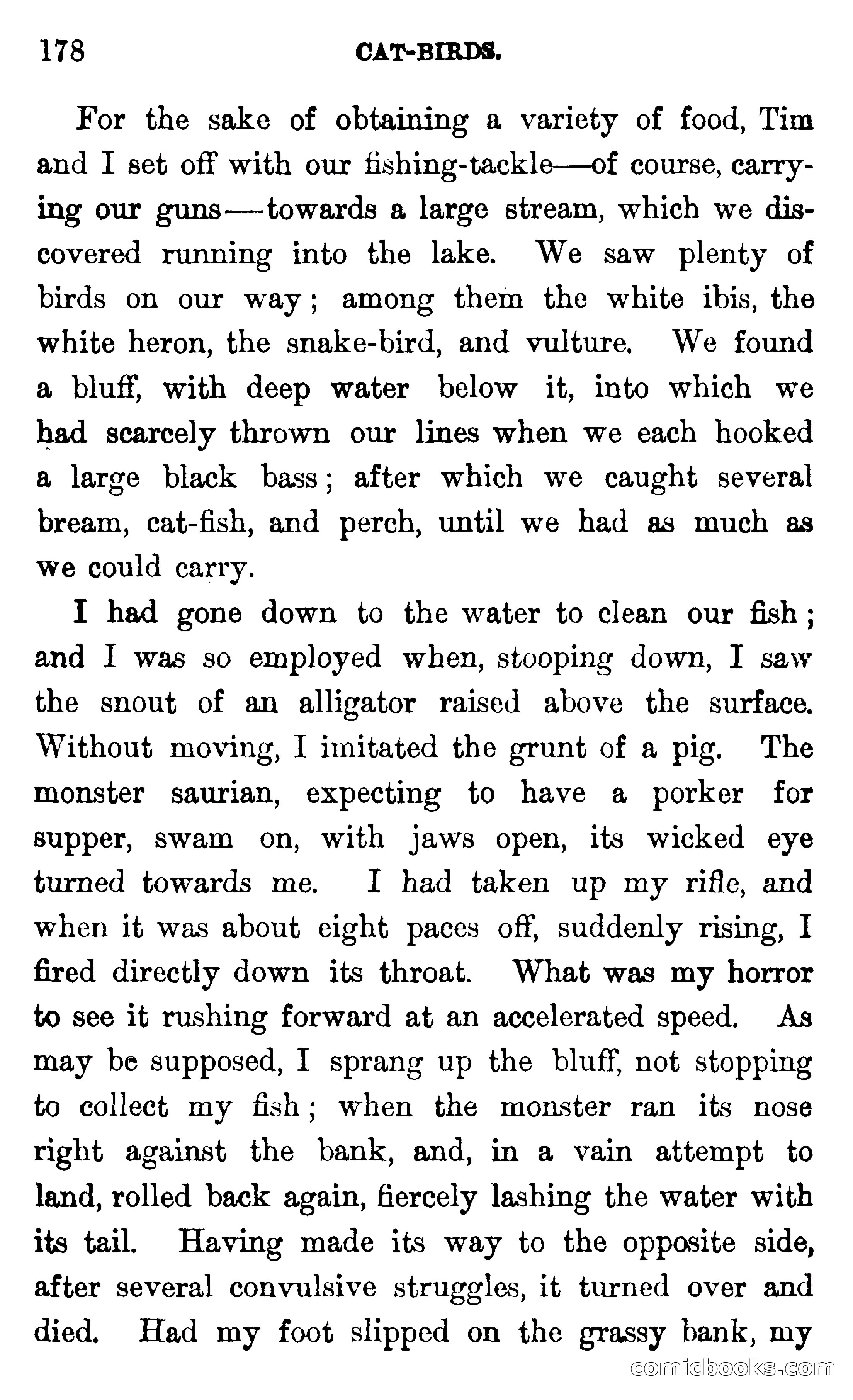 In the Wilds of Florida — page 180 of 400