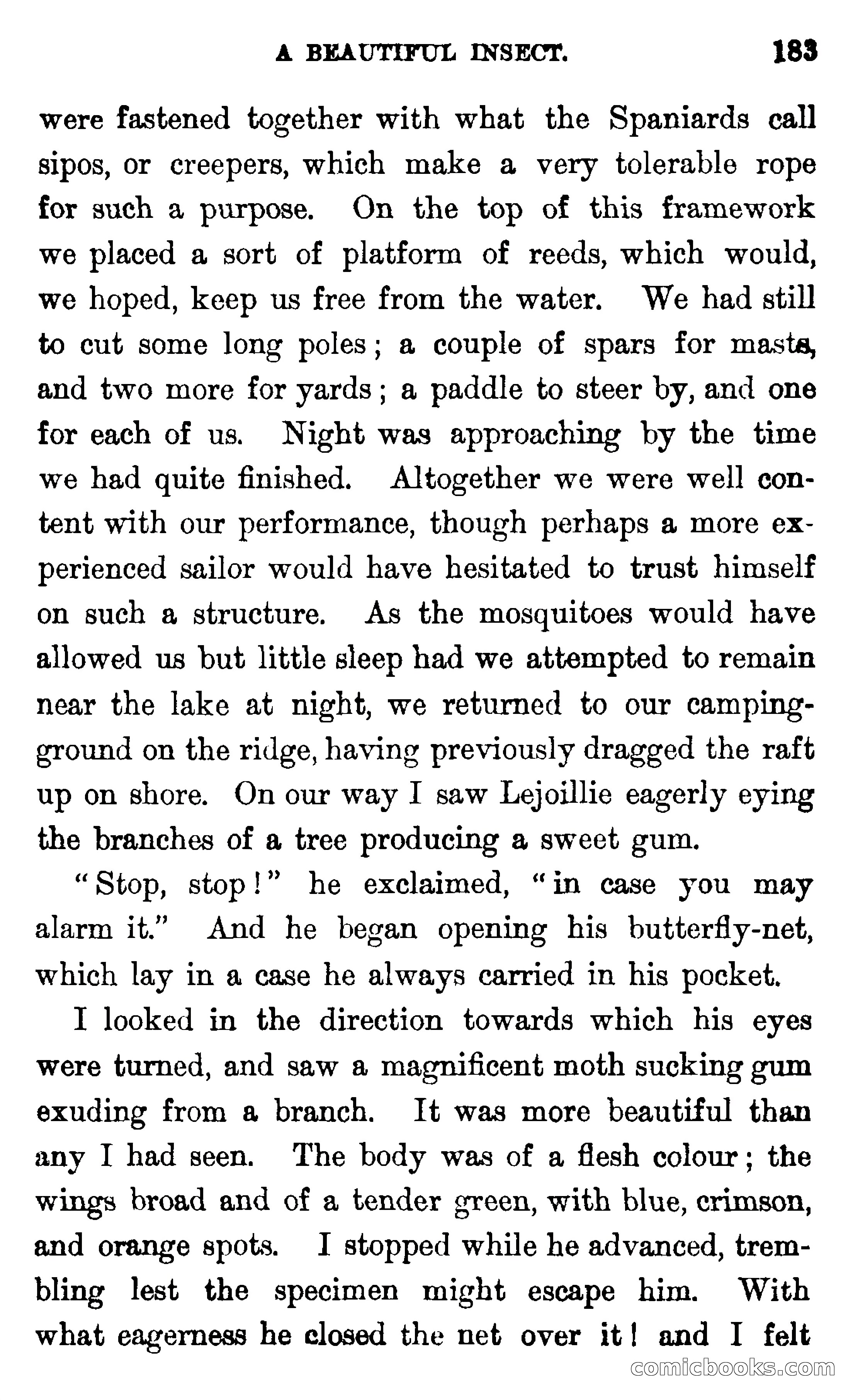 In the Wilds of Florida — page 185 of 400