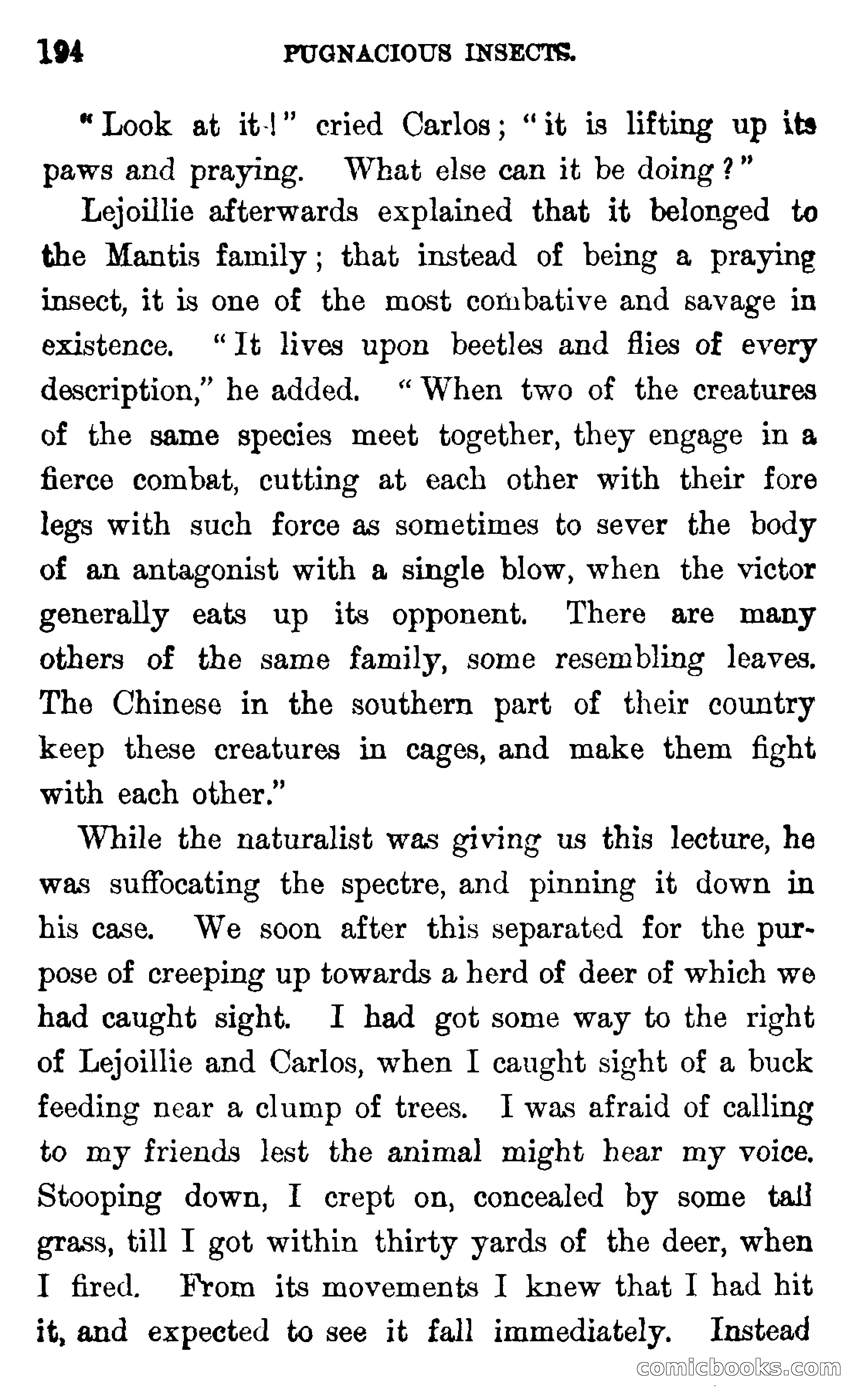 In the Wilds of Florida — page 196 of 400