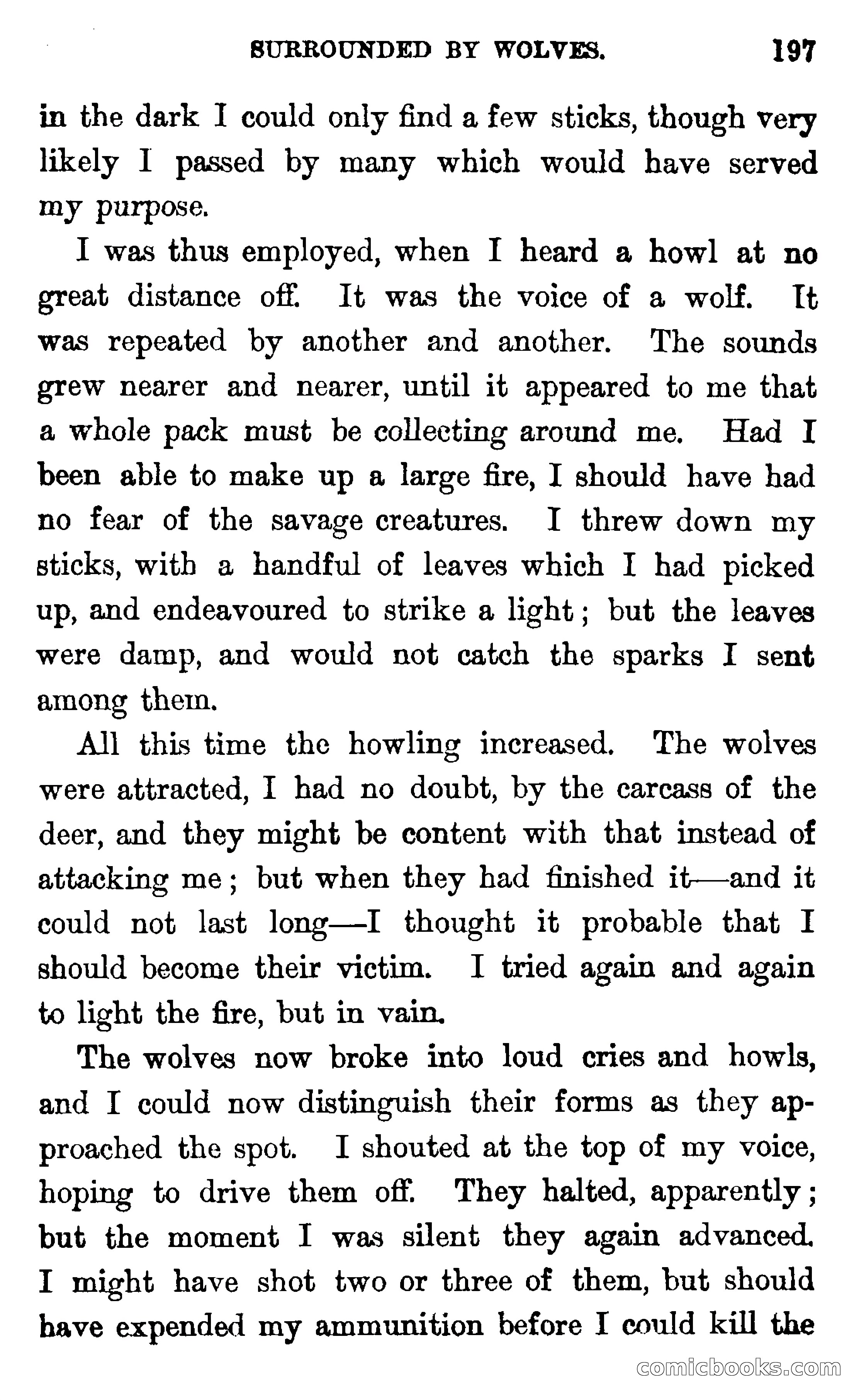In the Wilds of Florida — page 199 of 400