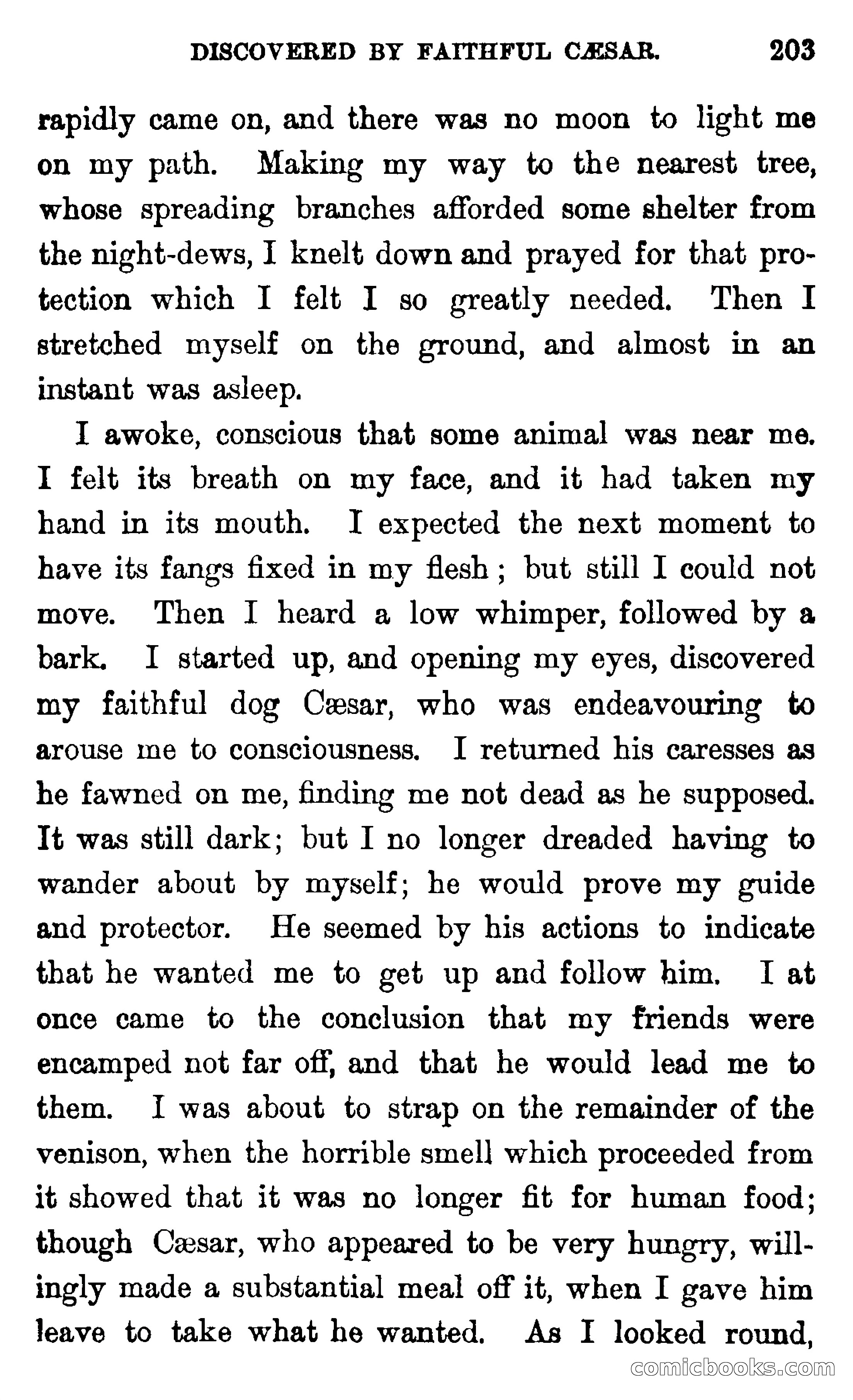 In the Wilds of Florida — page 205 of 400