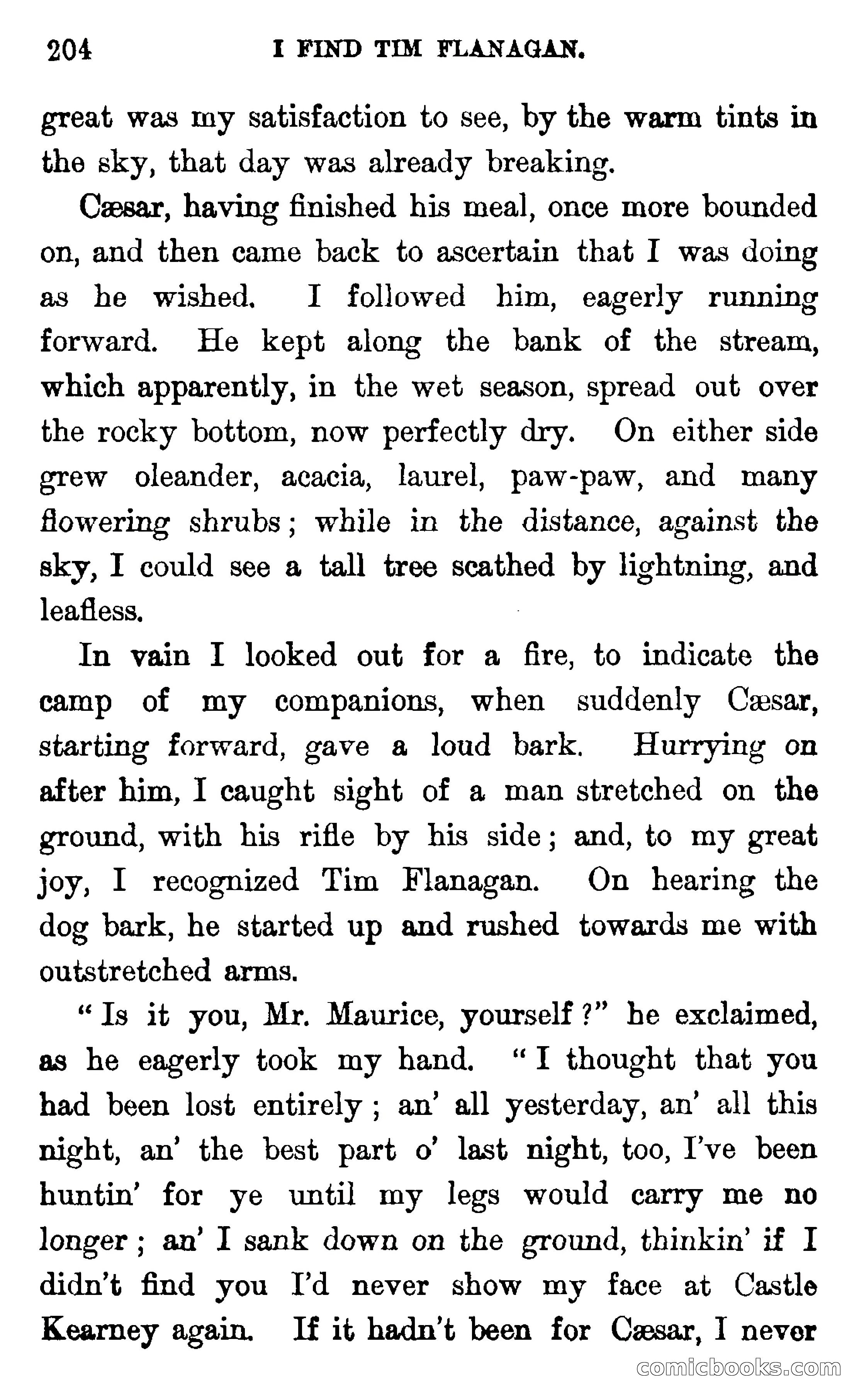 In the Wilds of Florida — page 206 of 400