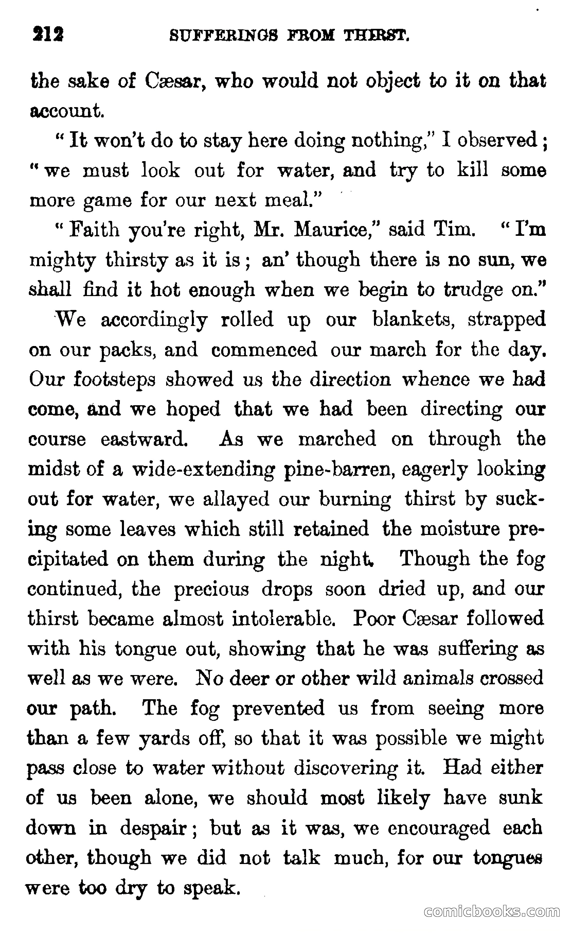 In the Wilds of Florida — page 214 of 400