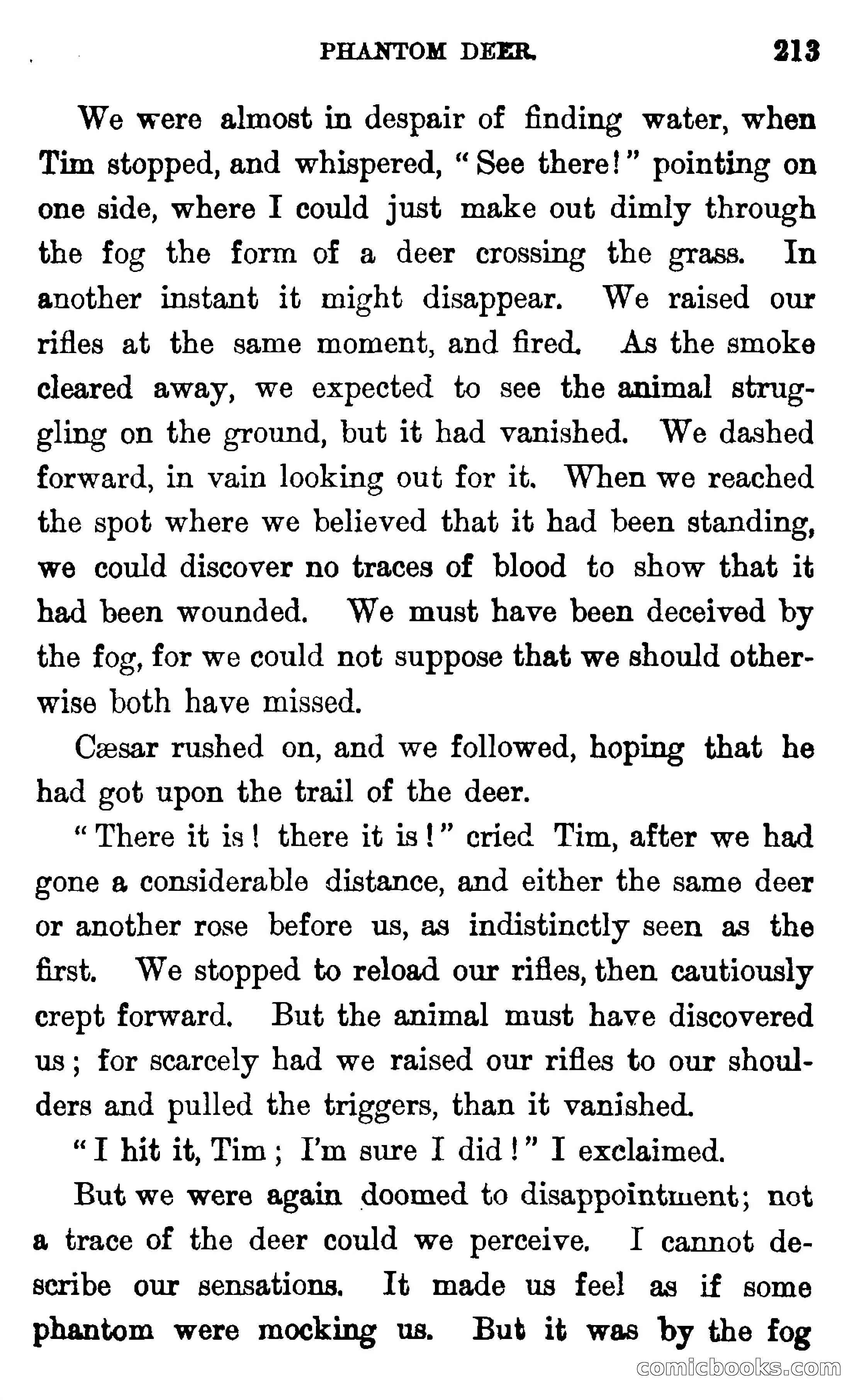 In the Wilds of Florida — page 215 of 400