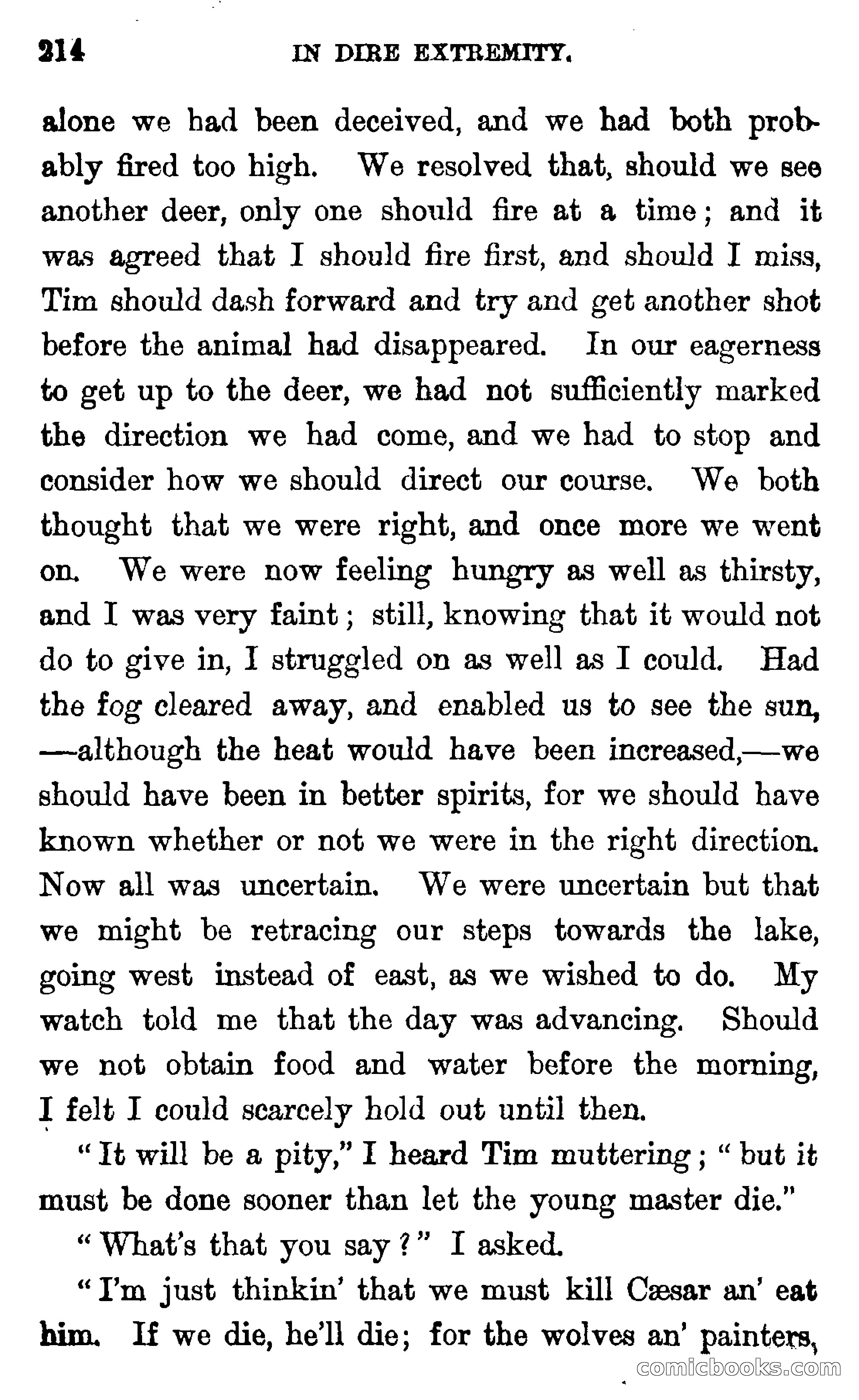 In the Wilds of Florida — page 216 of 400