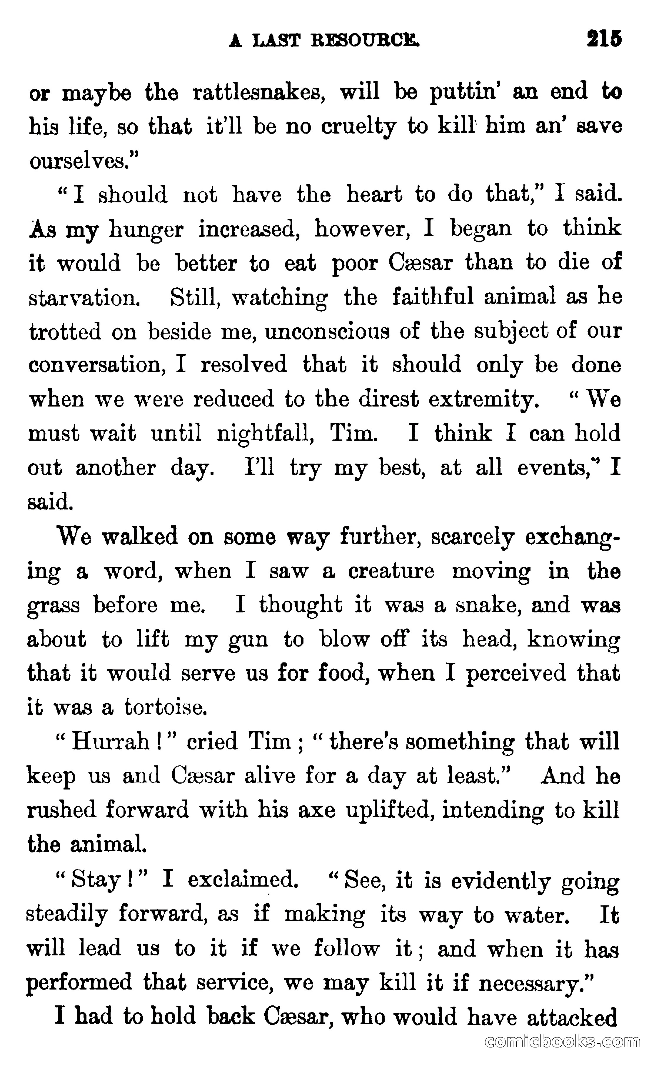 In the Wilds of Florida — page 217 of 400