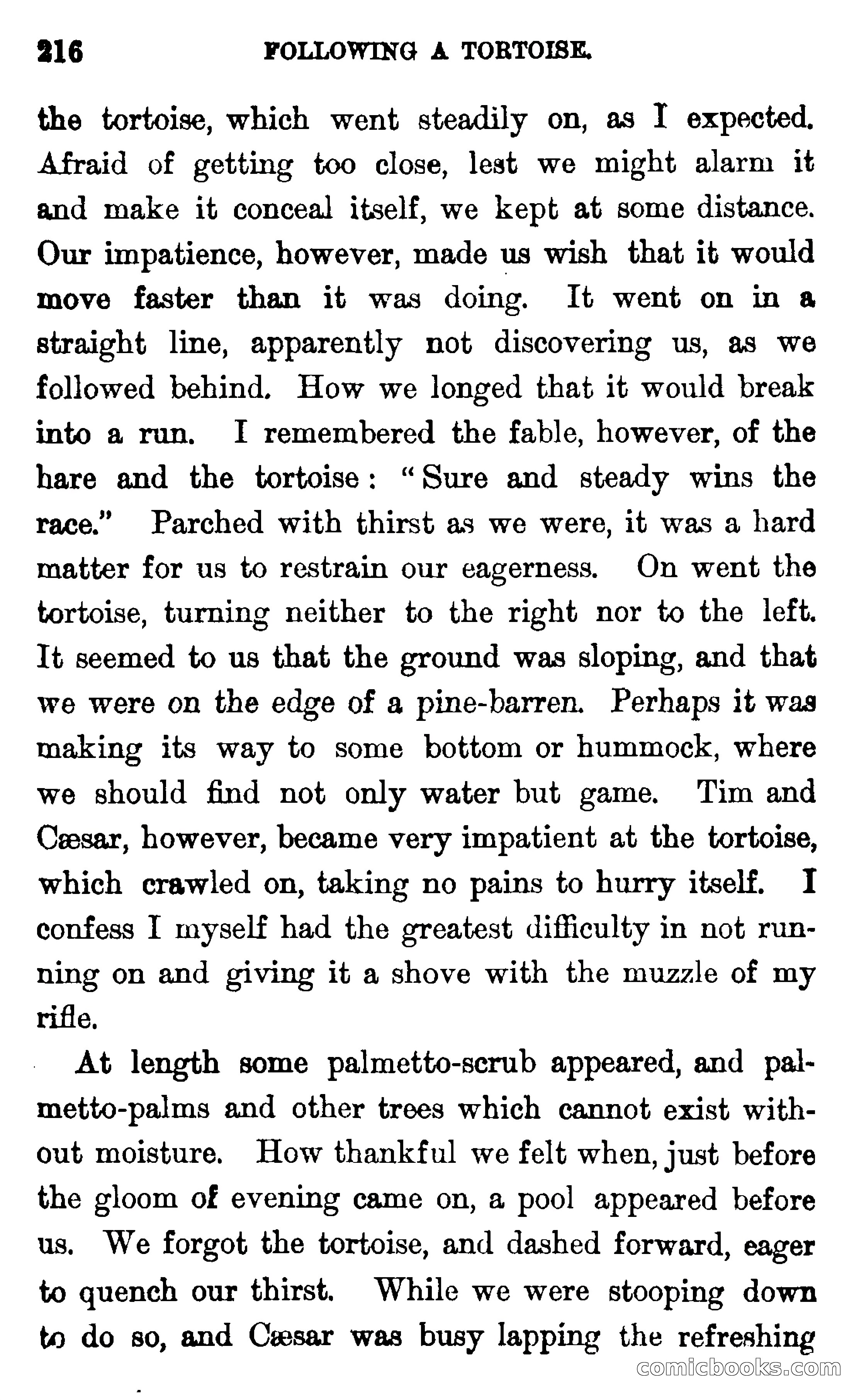 In the Wilds of Florida — page 218 of 400