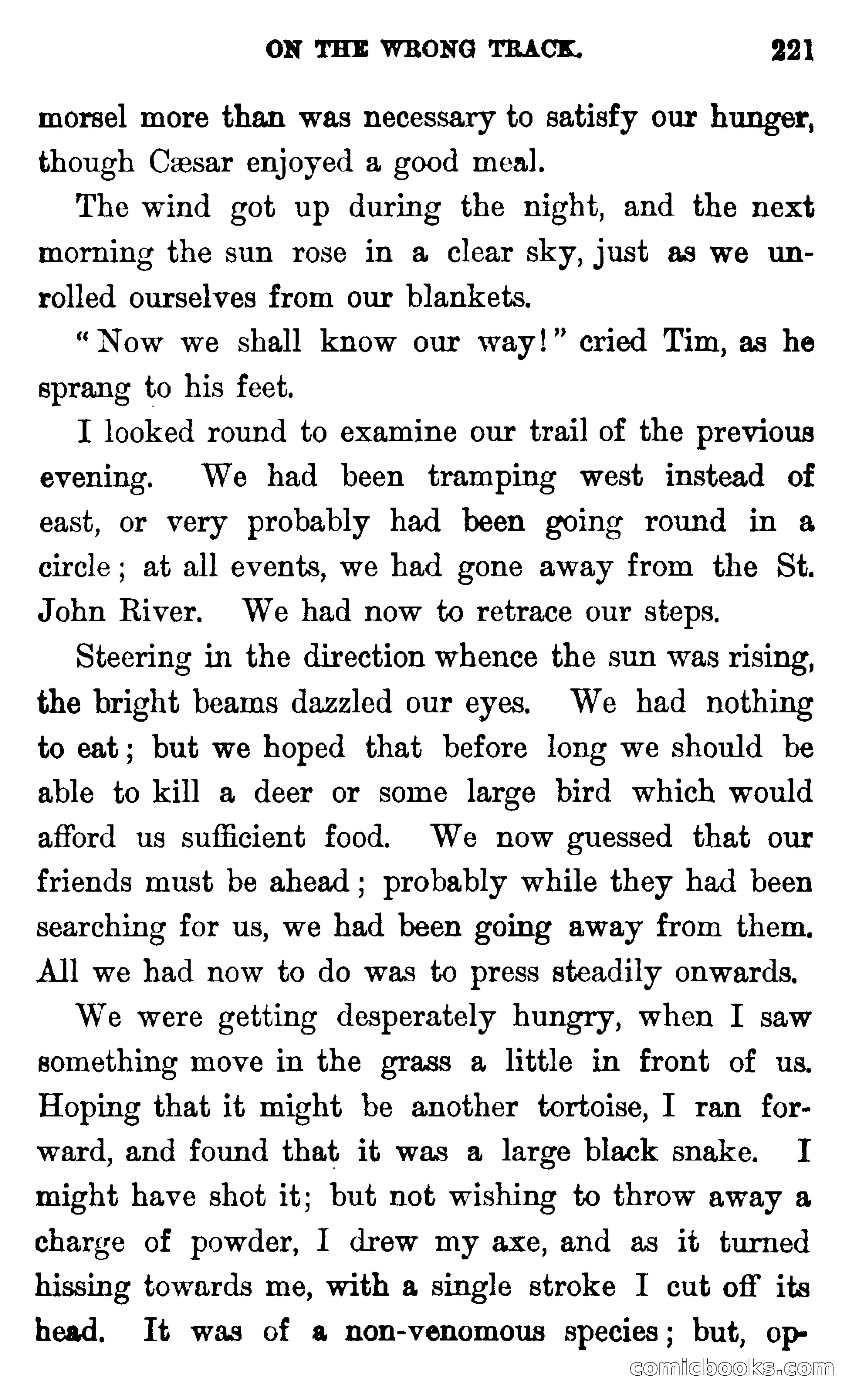 In the Wilds of Florida — page 223 of 400
