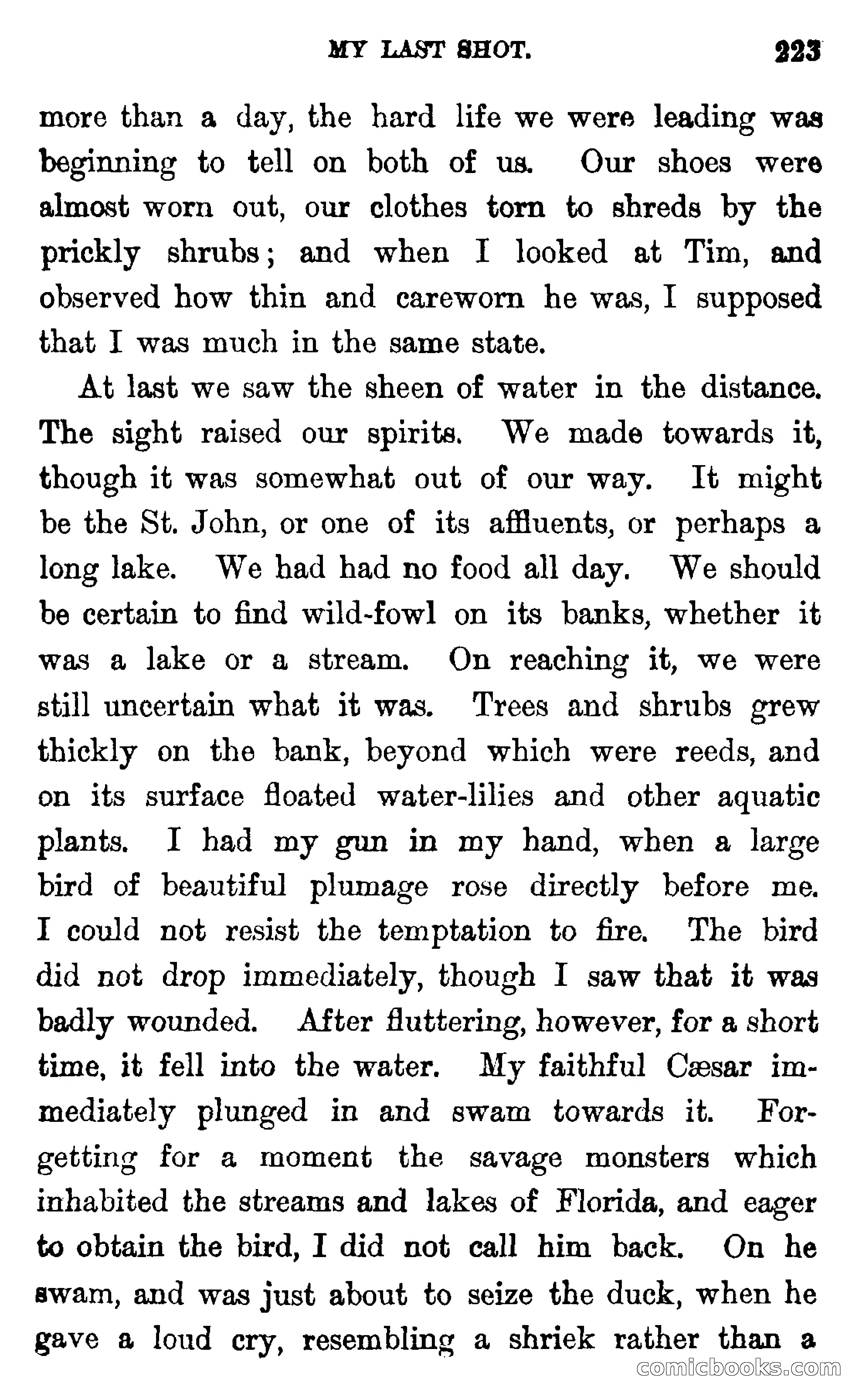 In the Wilds of Florida — page 225 of 400