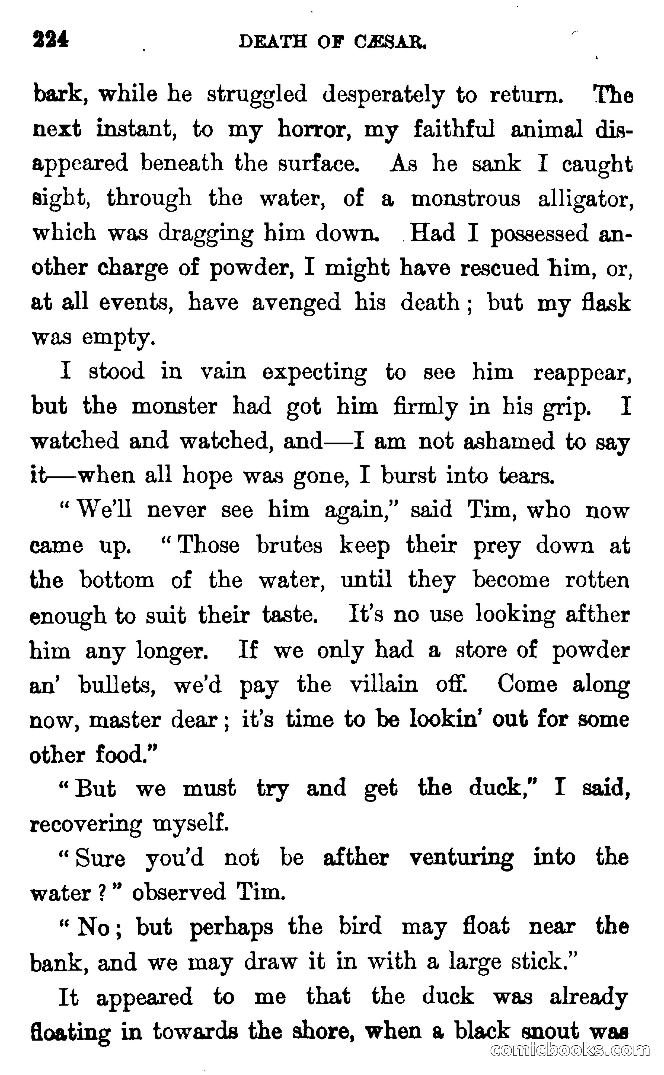 In the Wilds of Florida — page 226 of 400