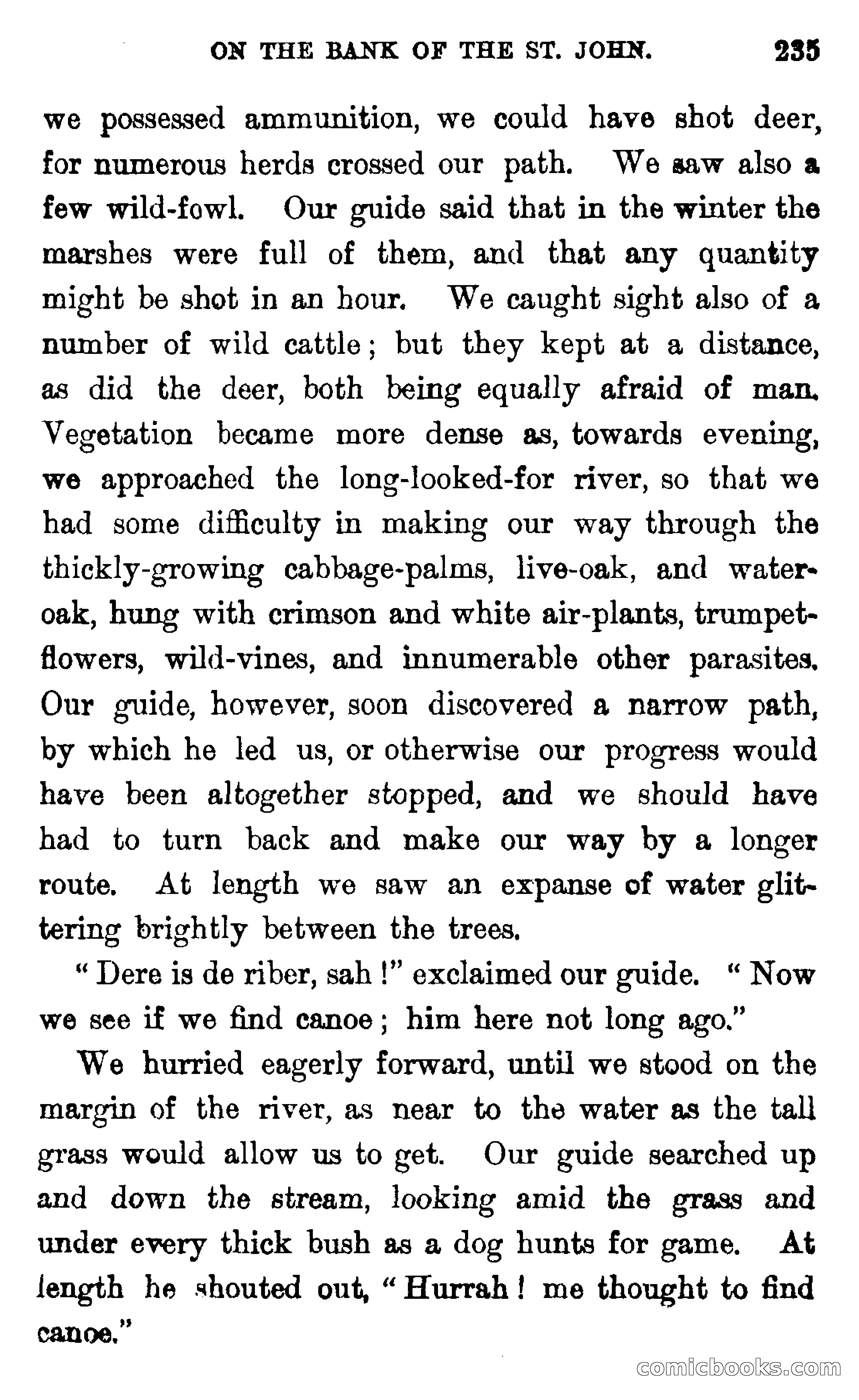 In the Wilds of Florida — page 237 of 400