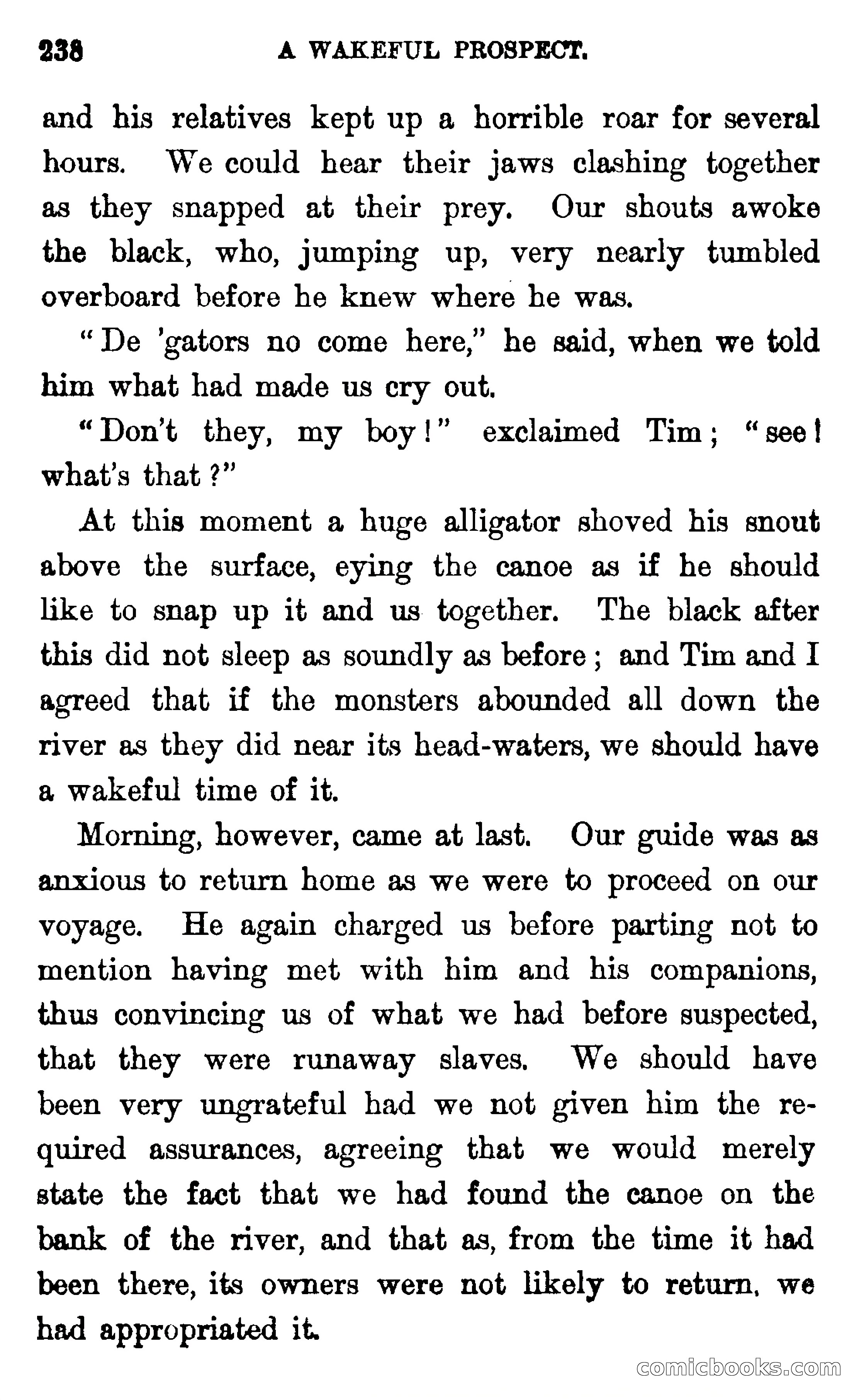 In the Wilds of Florida — page 240 of 400