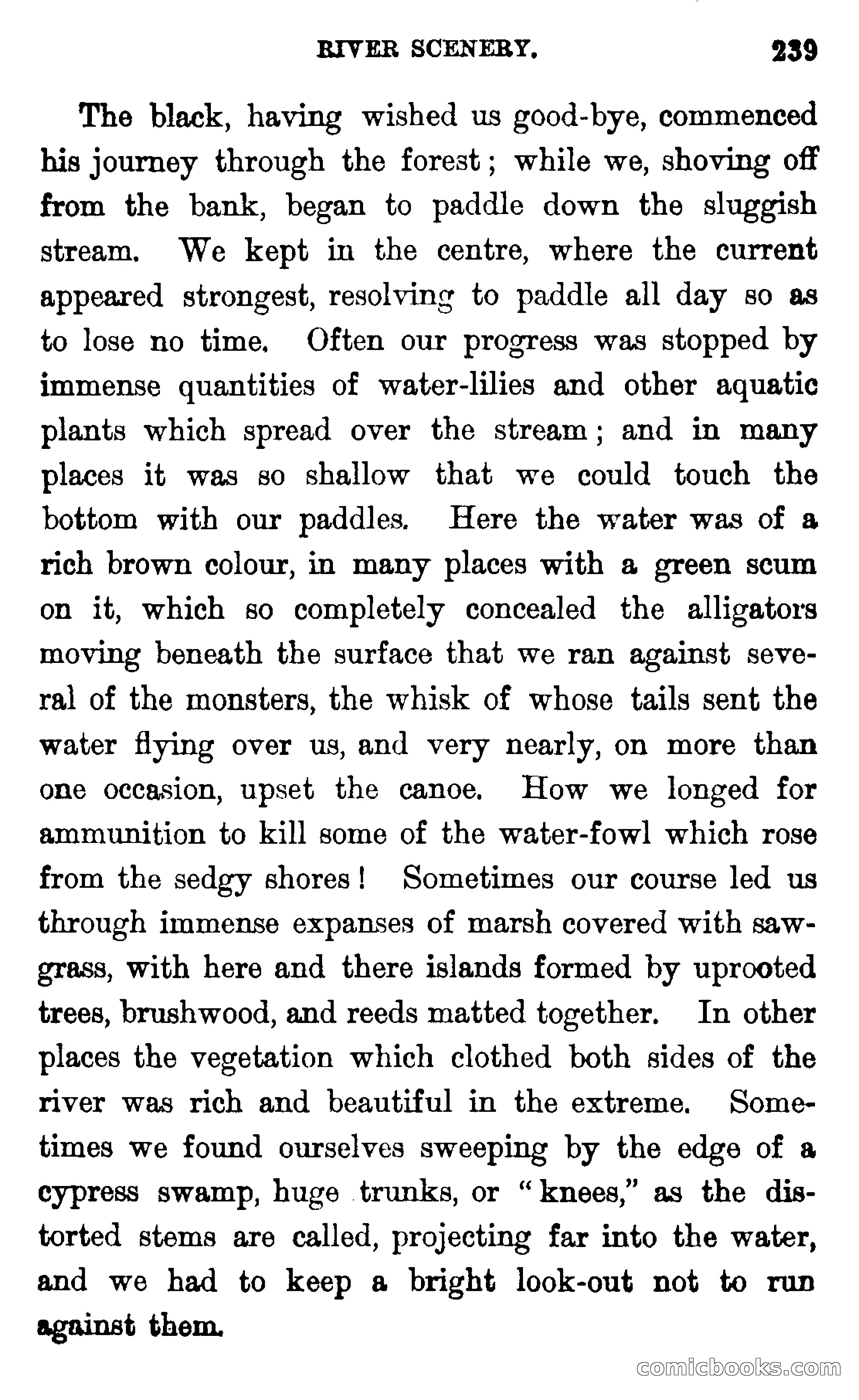 In the Wilds of Florida — page 241 of 400
