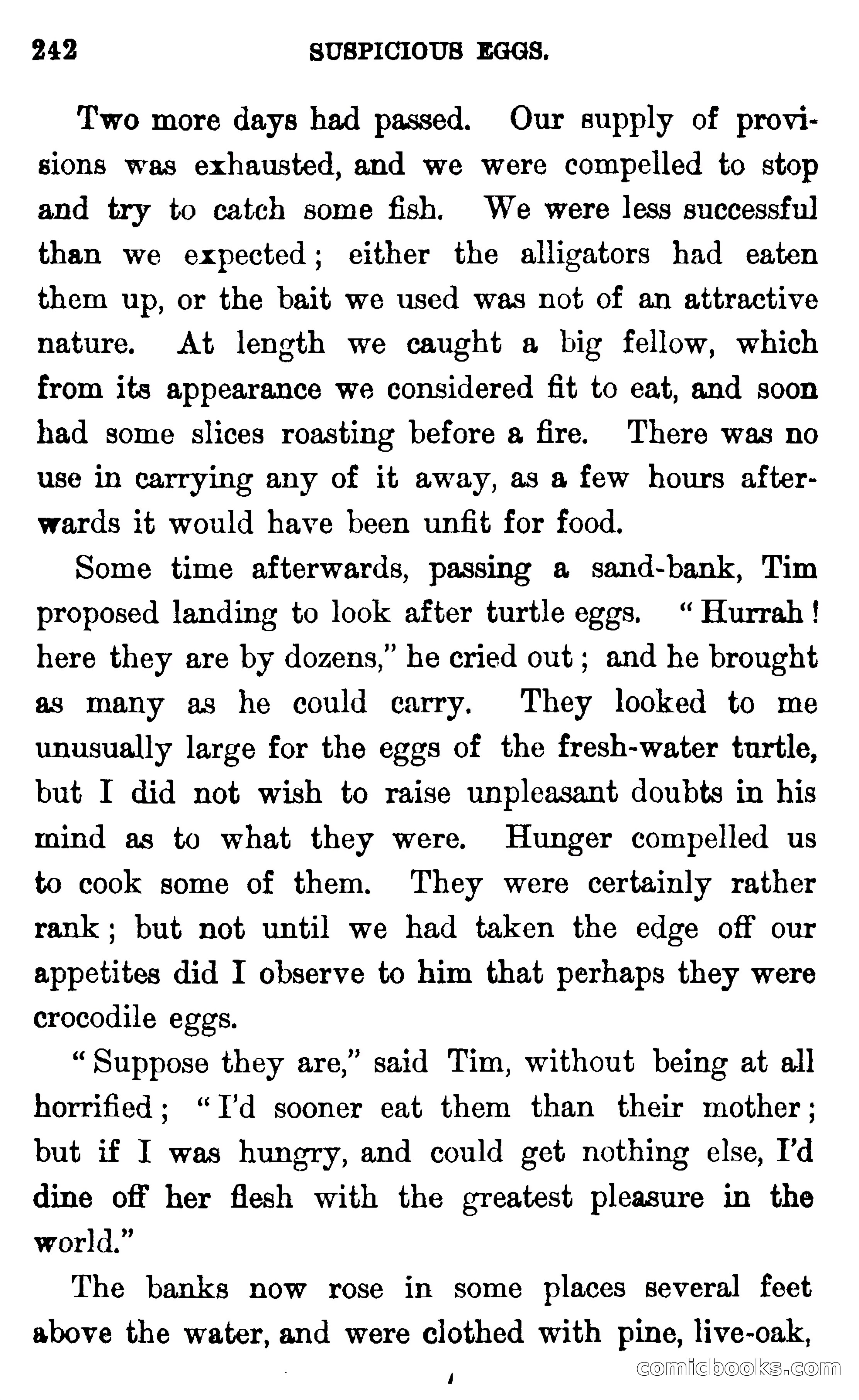 In the Wilds of Florida — page 244 of 400