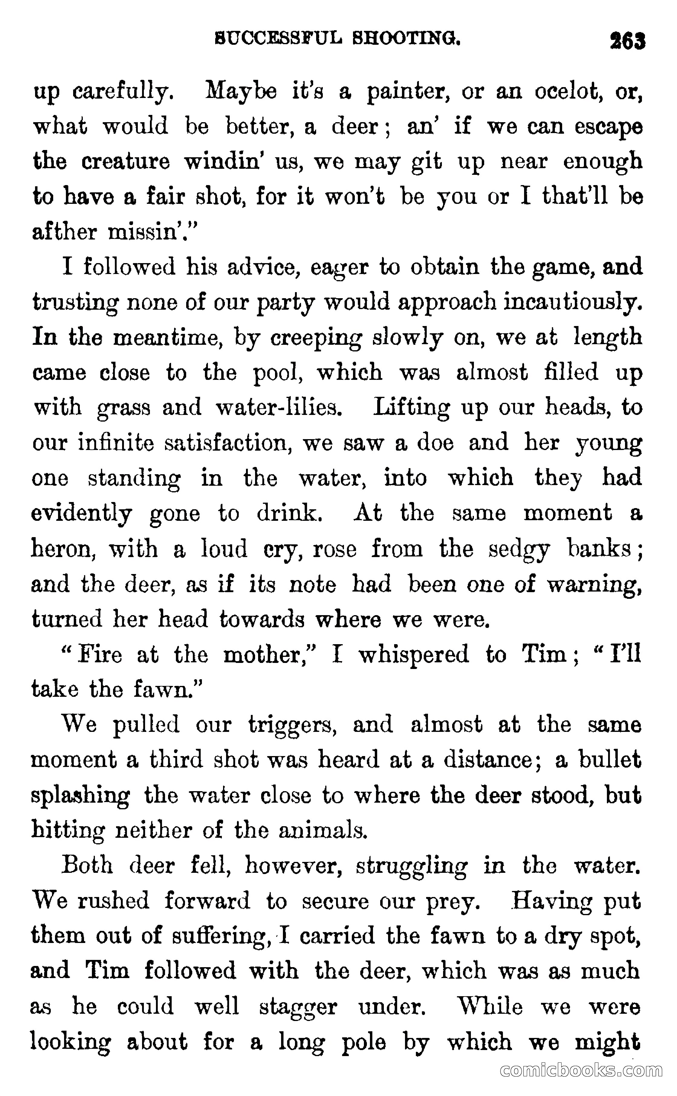 In the Wilds of Florida — page 265 of 400