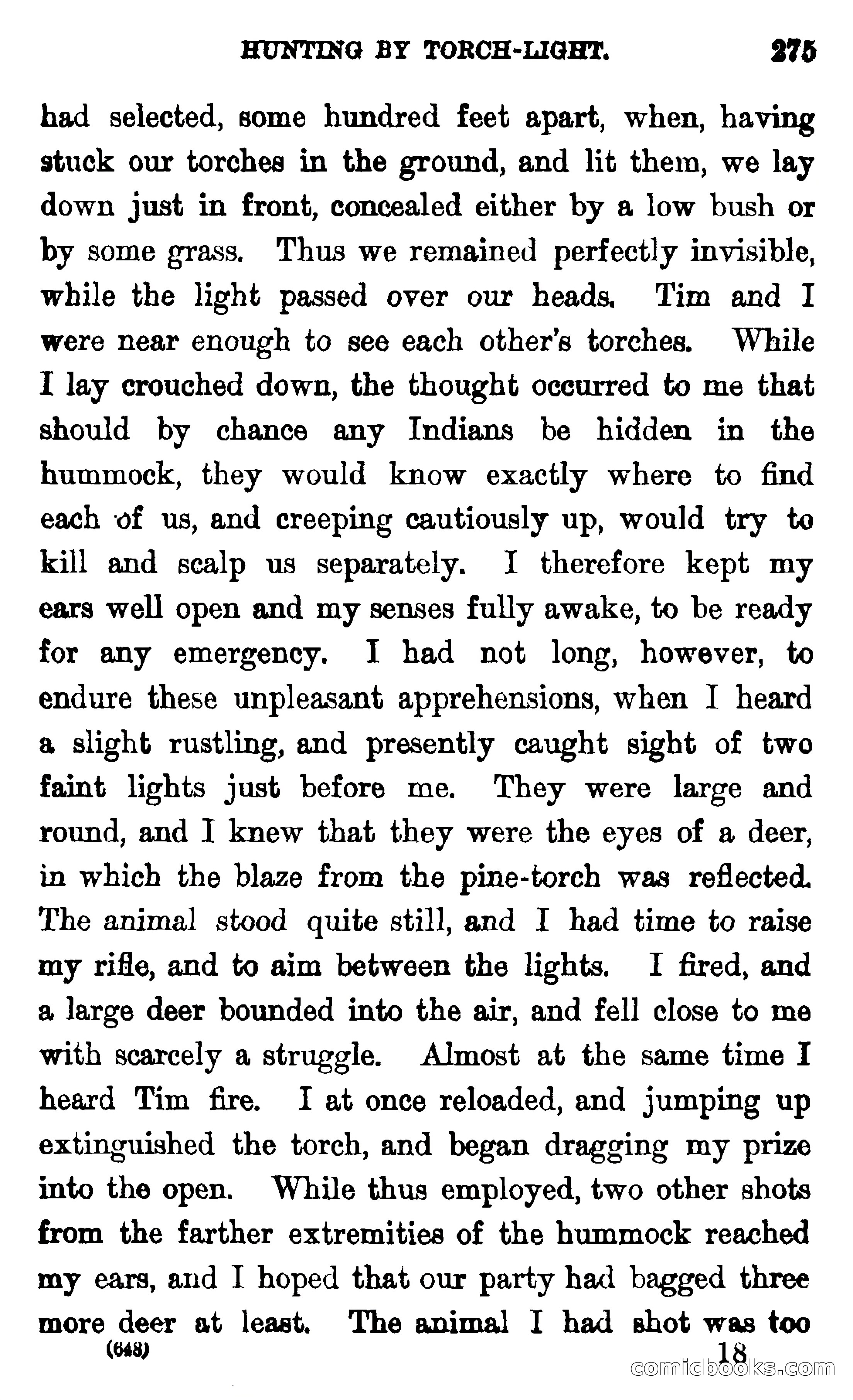 In the Wilds of Florida — page 277 of 400