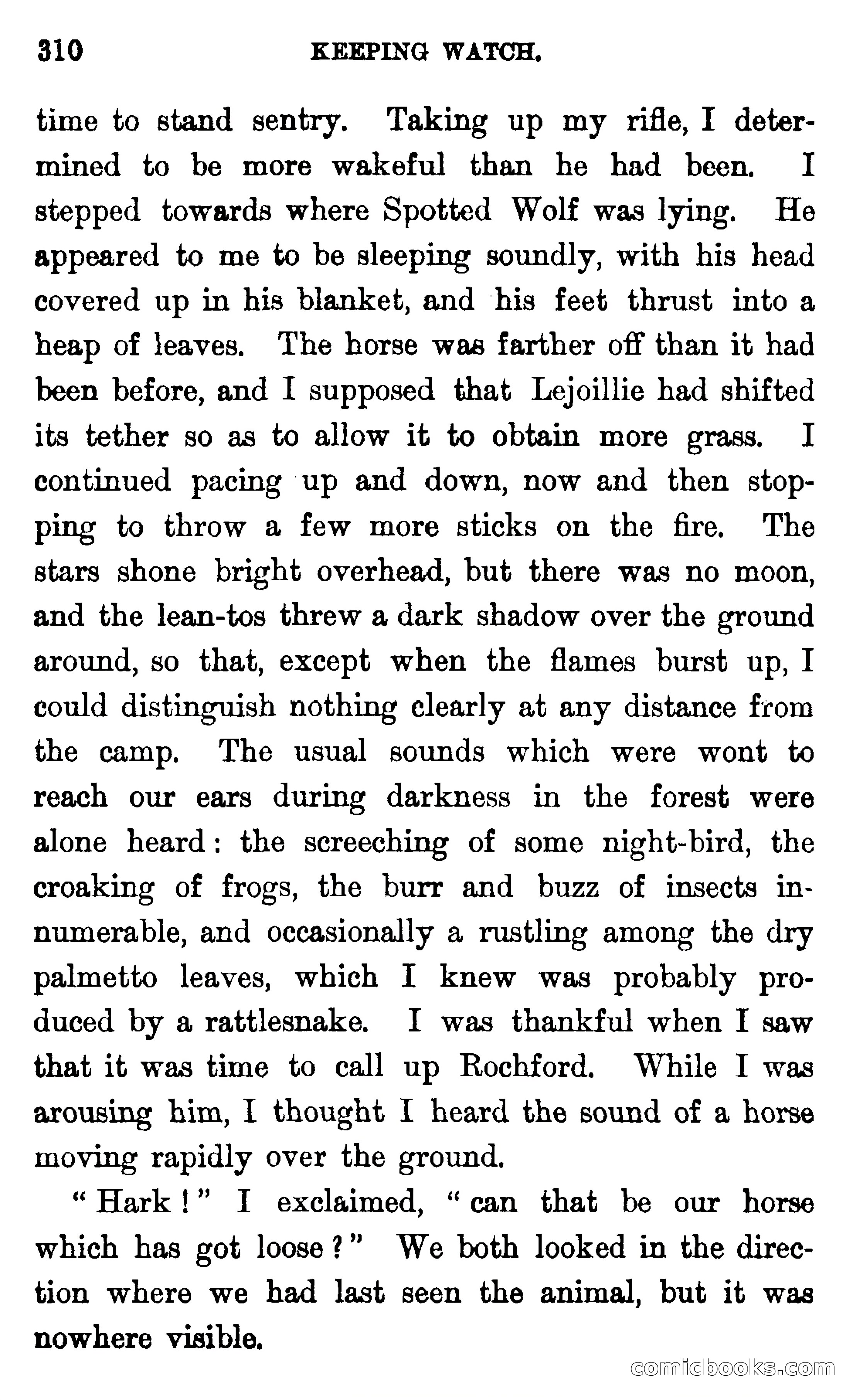 In the Wilds of Florida — page 312 of 400