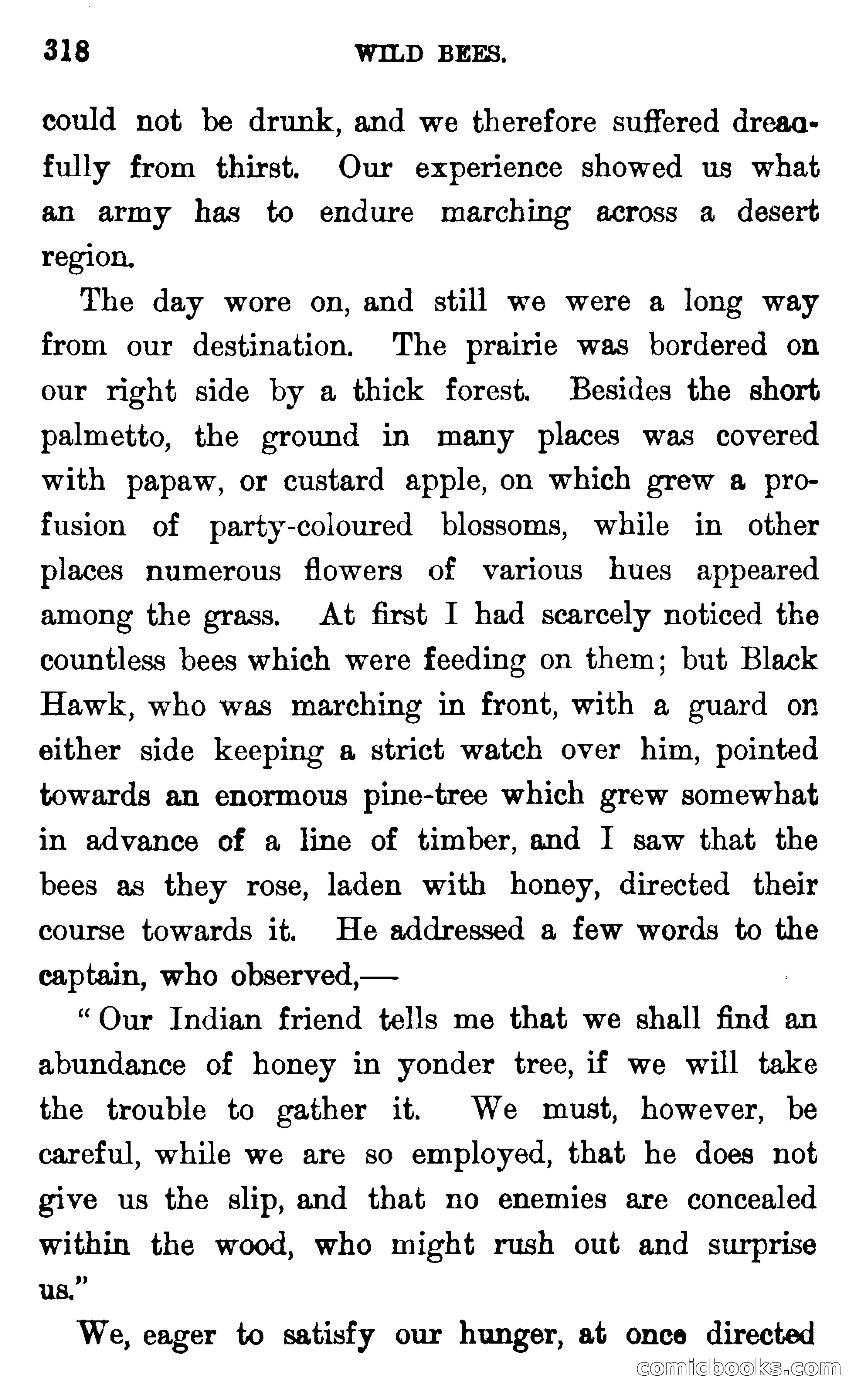 In the Wilds of Florida — page 320 of 400