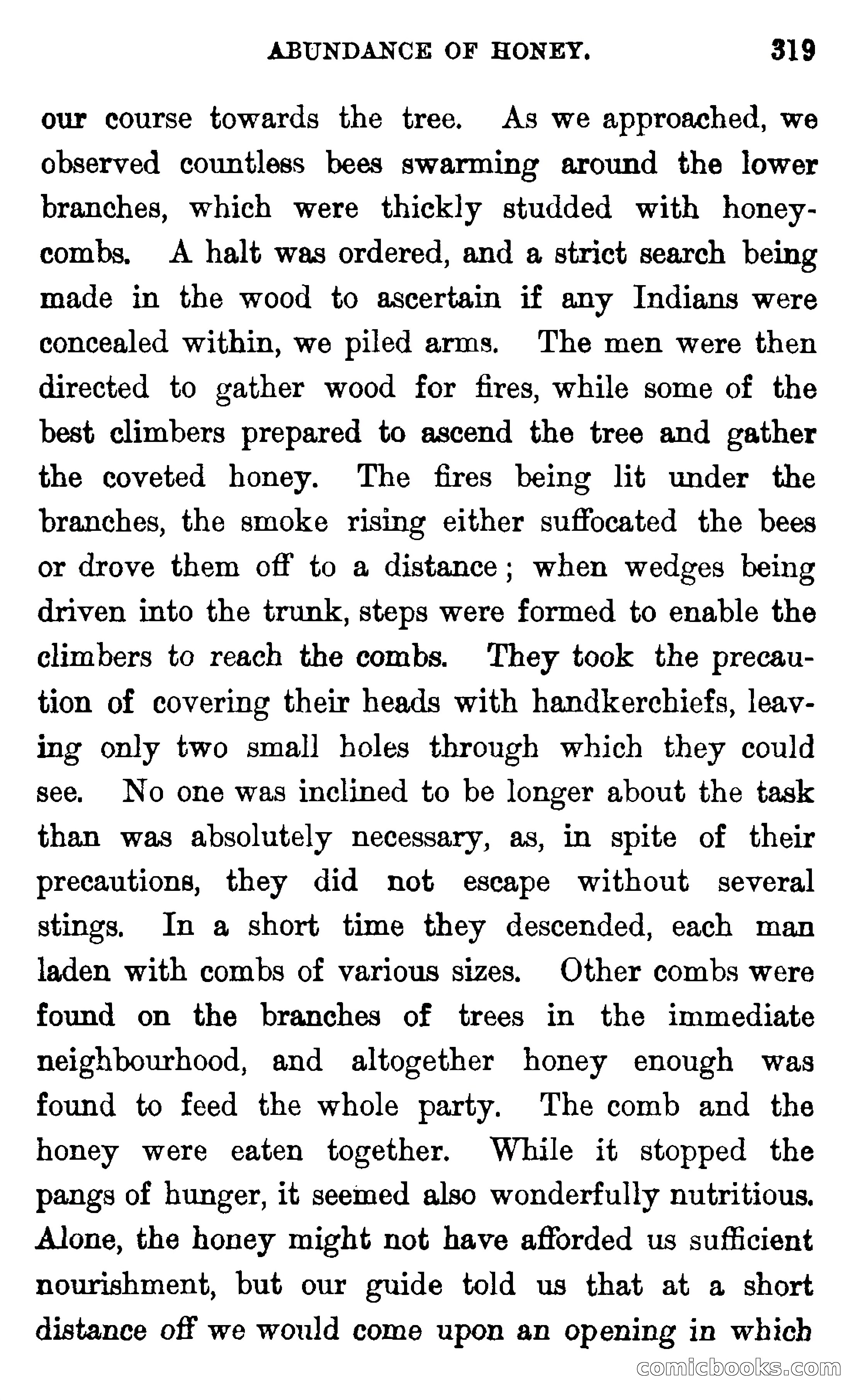 In the Wilds of Florida — page 321 of 400