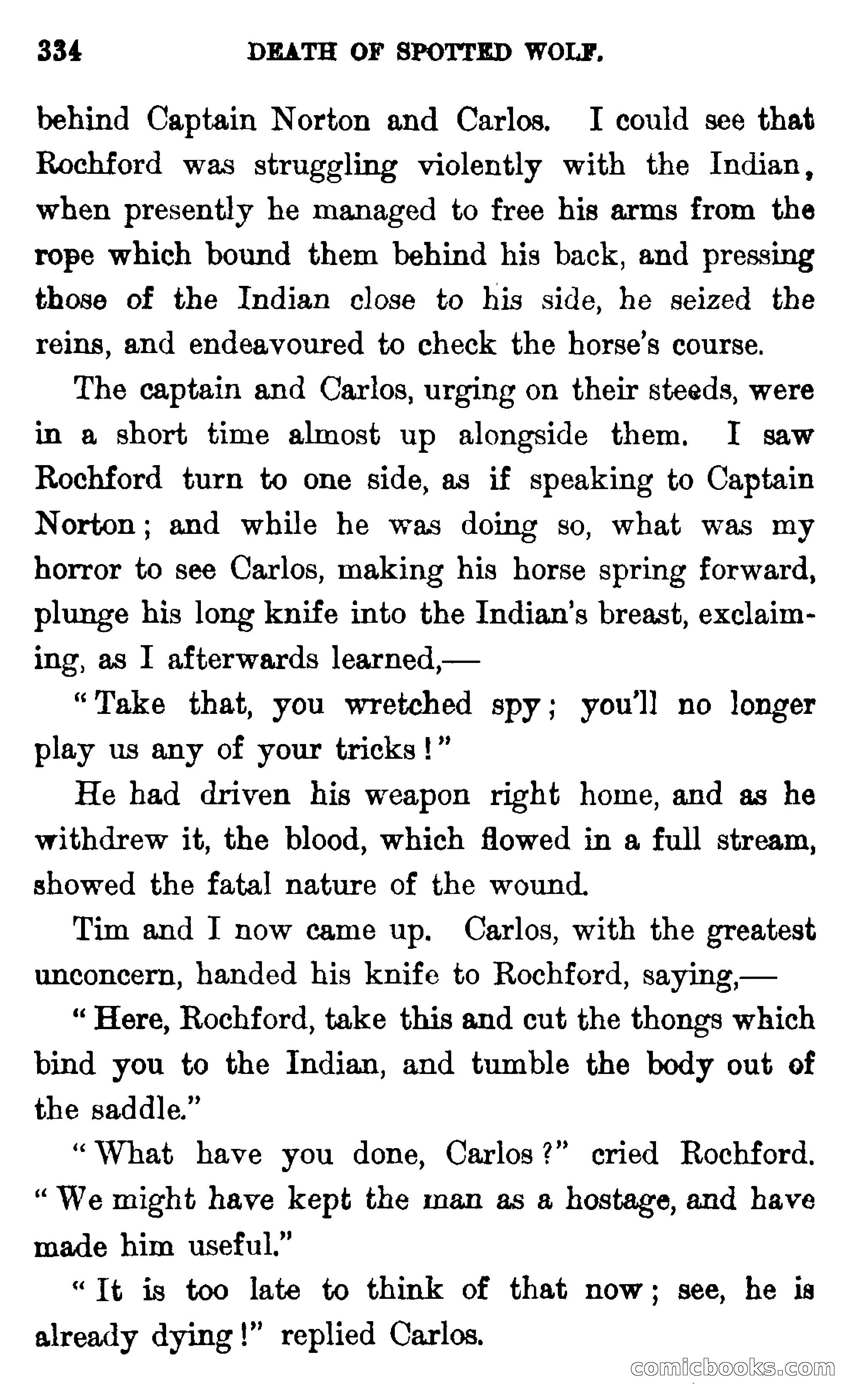 In the Wilds of Florida — page 336 of 400