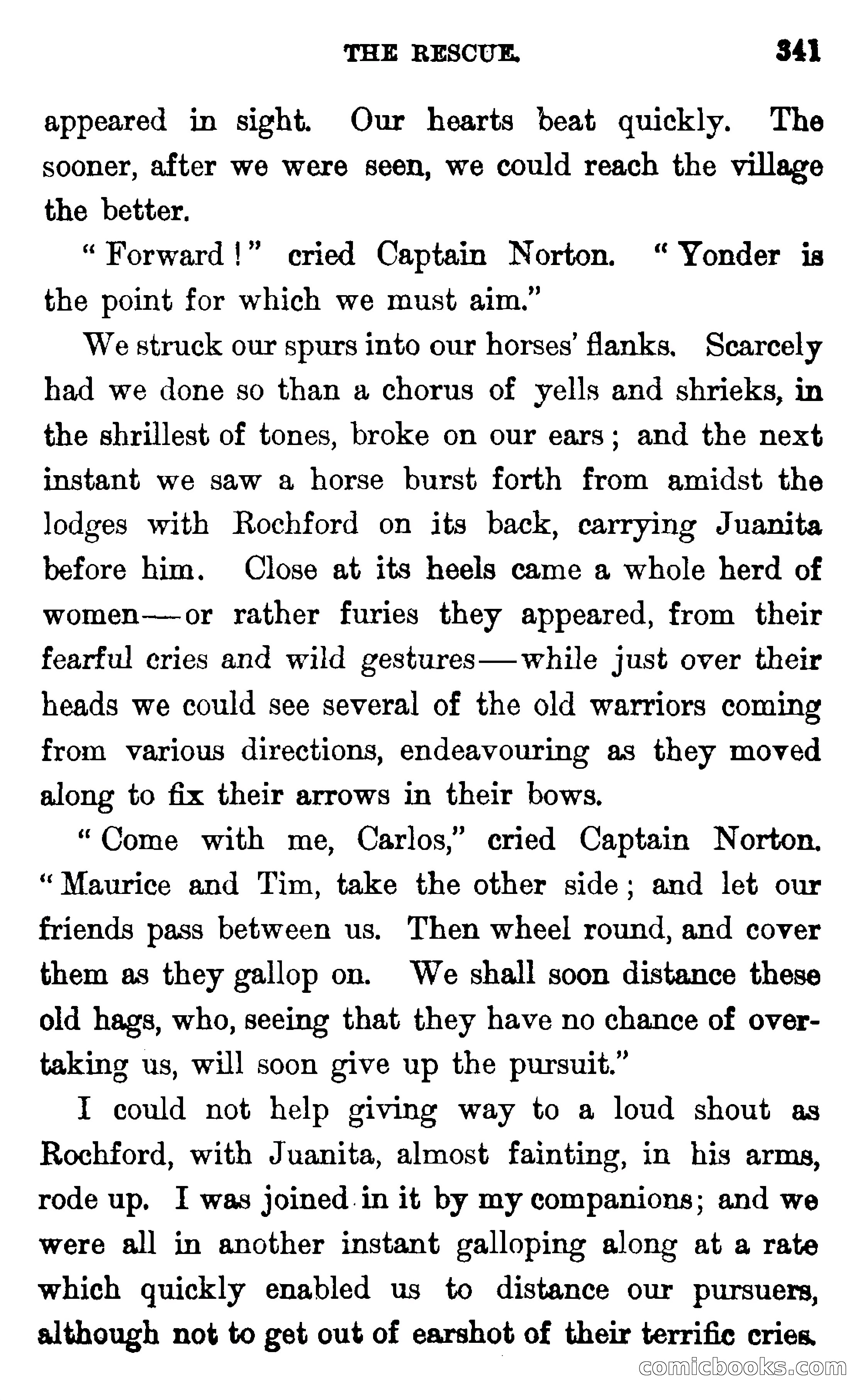 In the Wilds of Florida — page 343 of 400