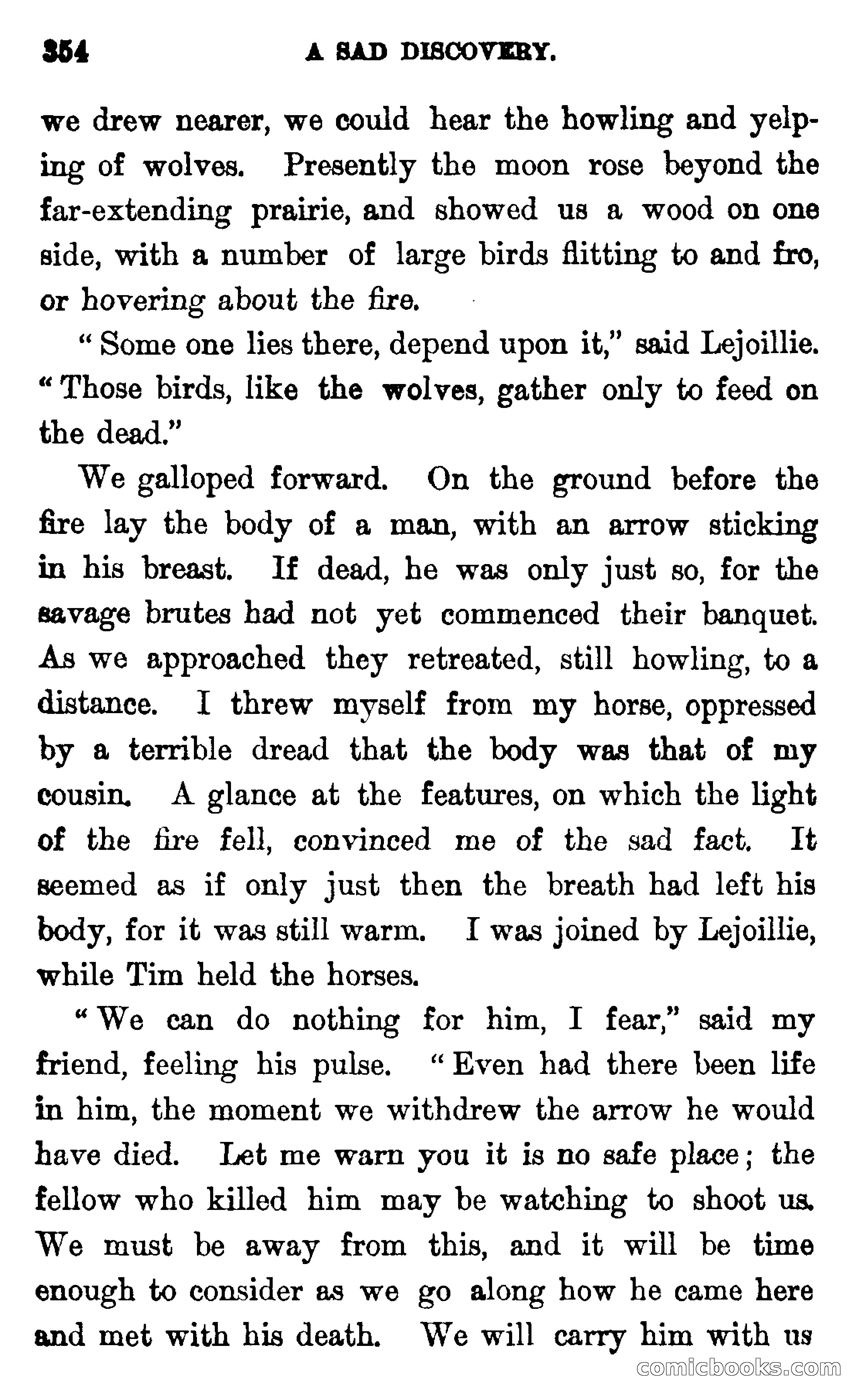 In the Wilds of Florida — page 356 of 400