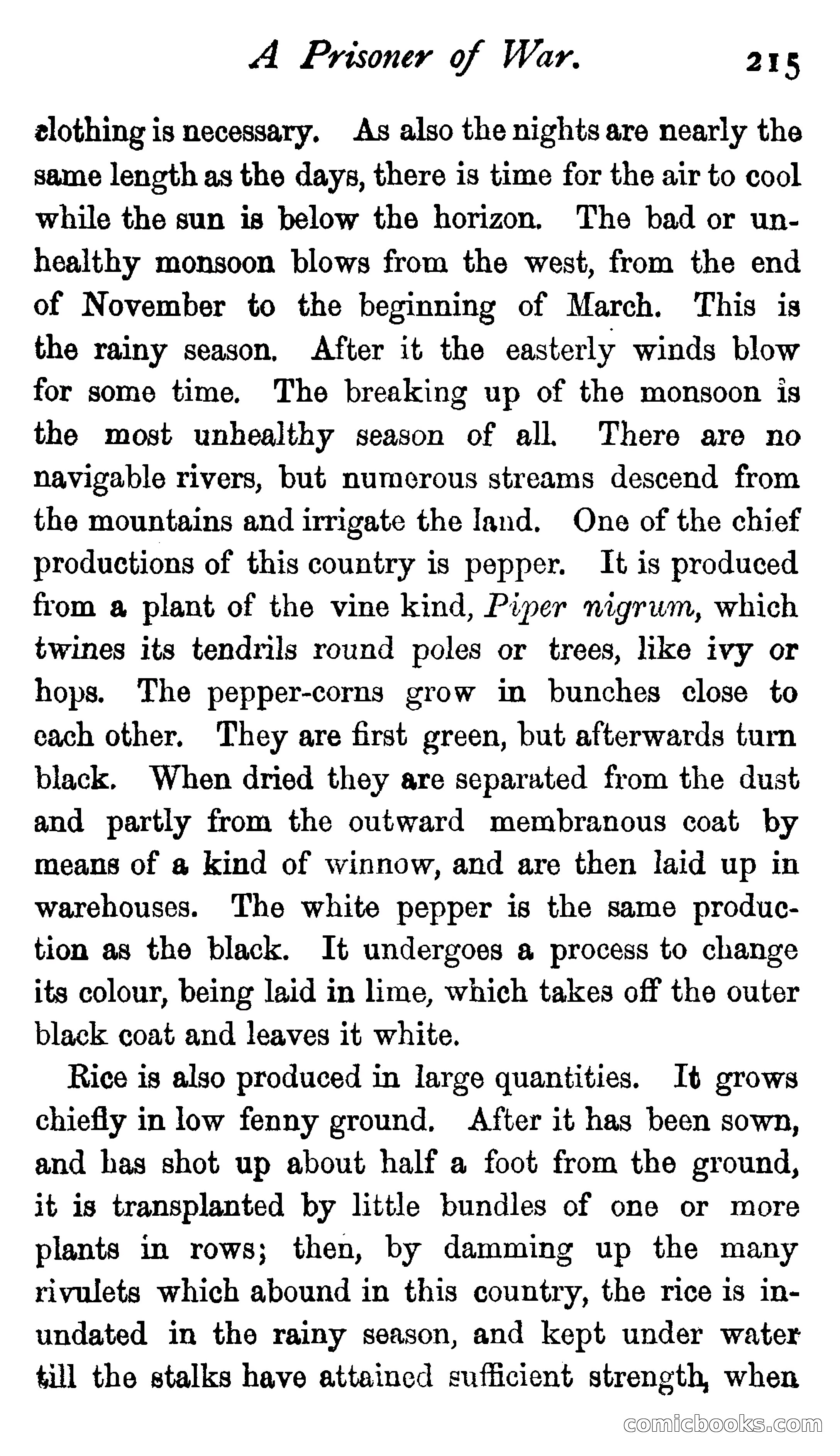 James Braithwaite, Supercargo — page 231 of 281