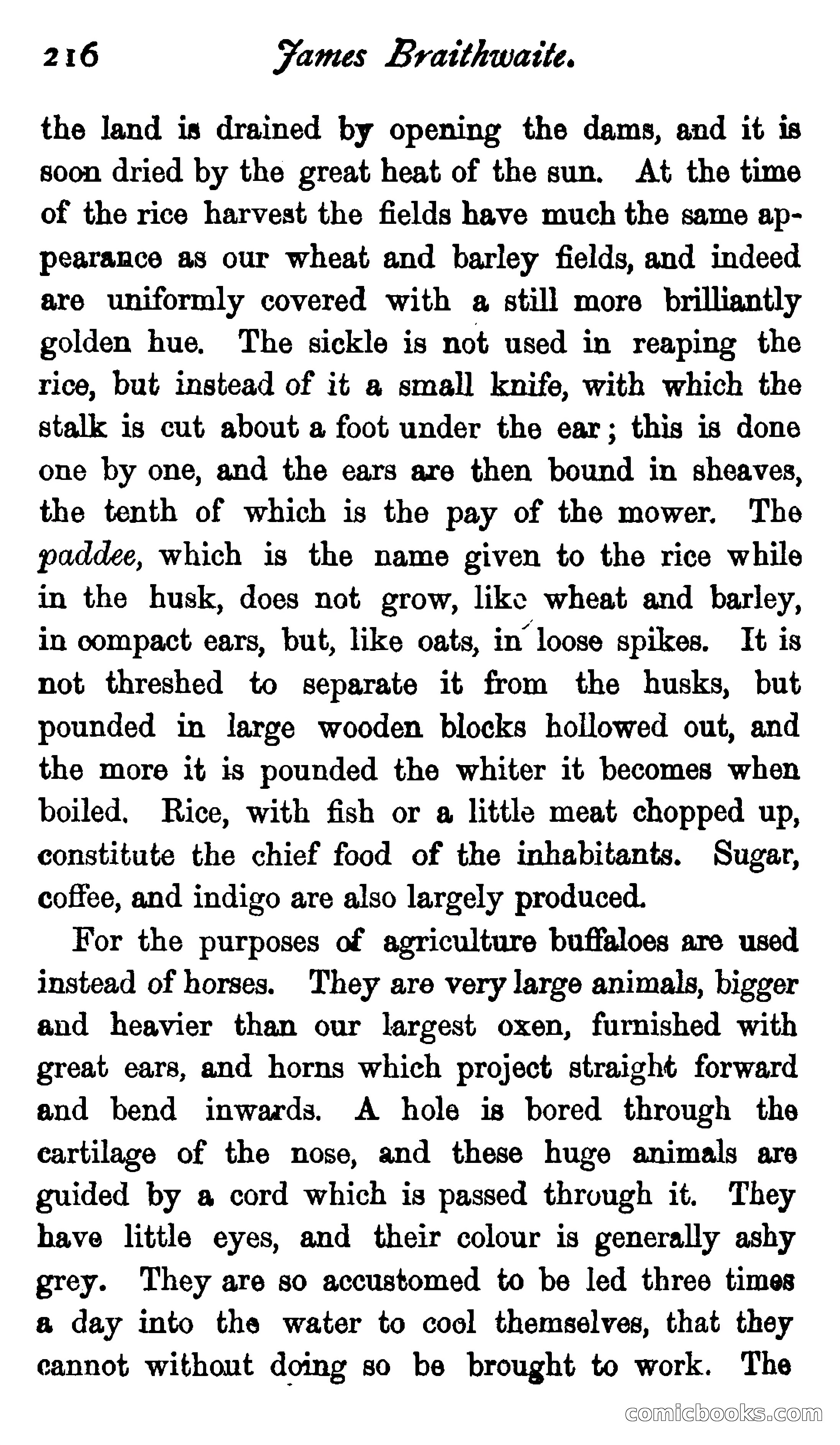 James Braithwaite, Supercargo — page 232 of 281