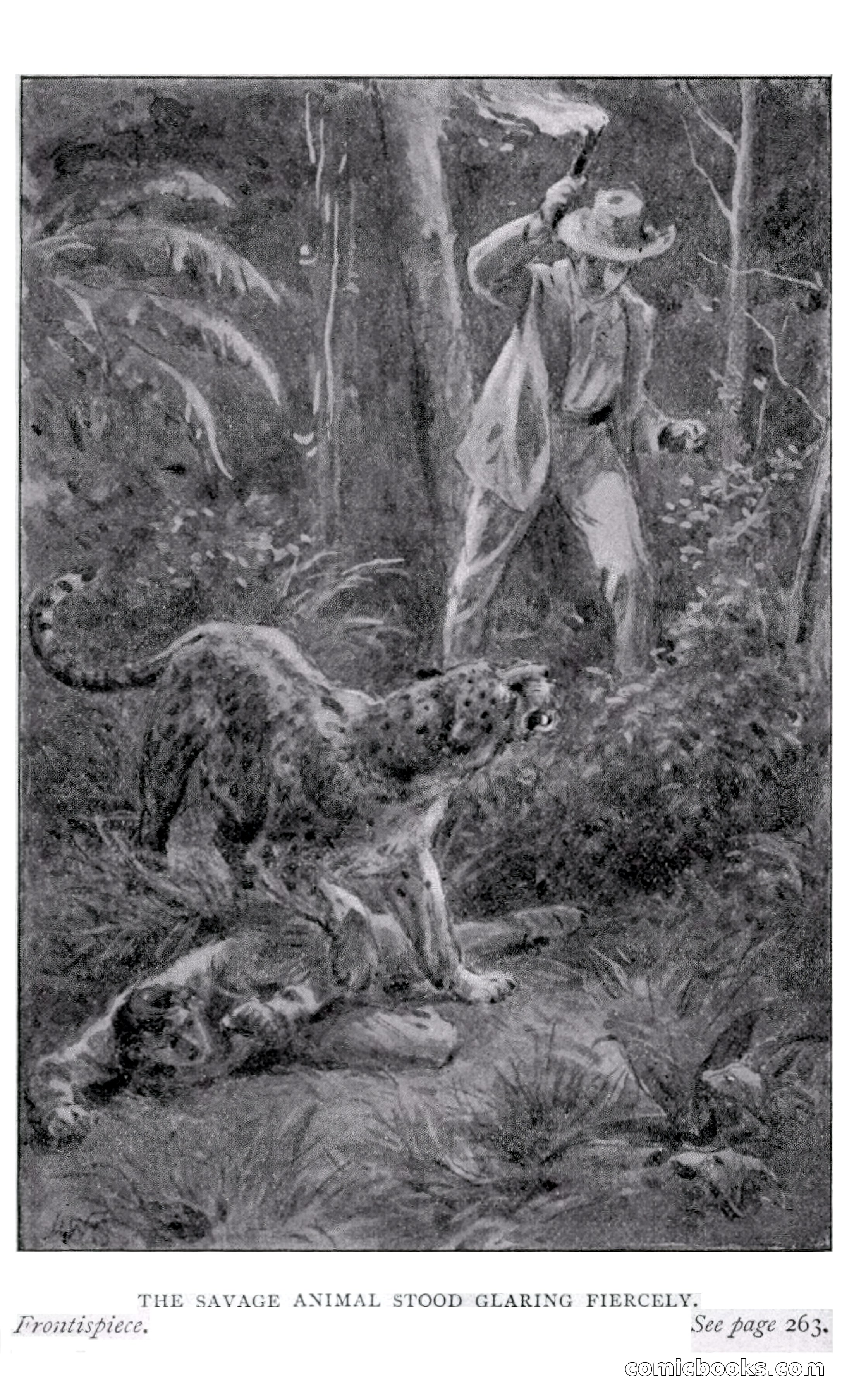 Manco; The Peruvian Chief — page 3 of 377