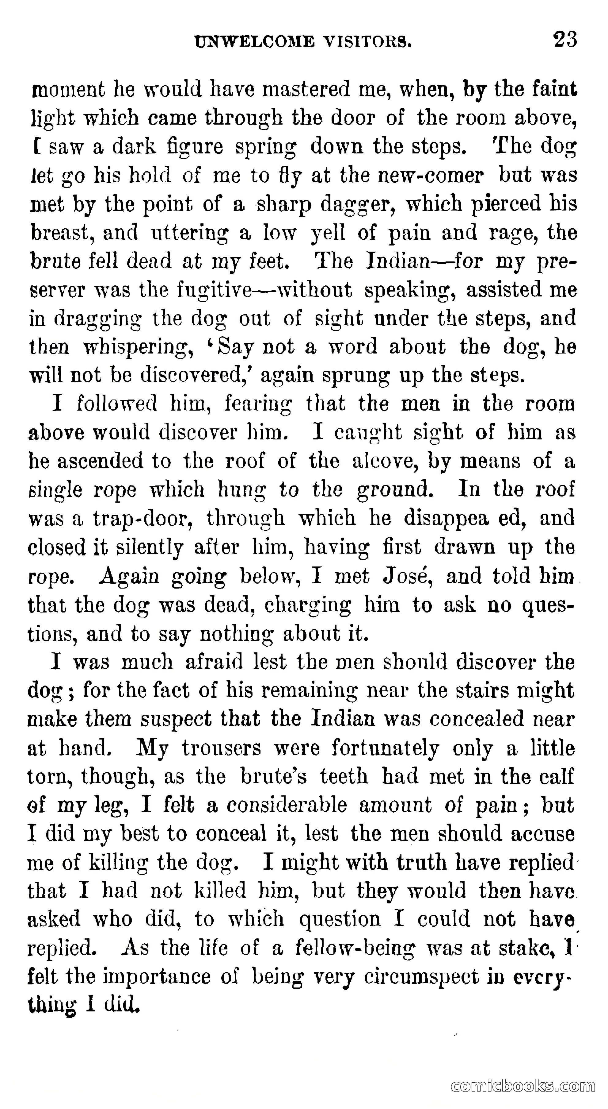 Manco; The Peruvian Chief — page 29 of 377