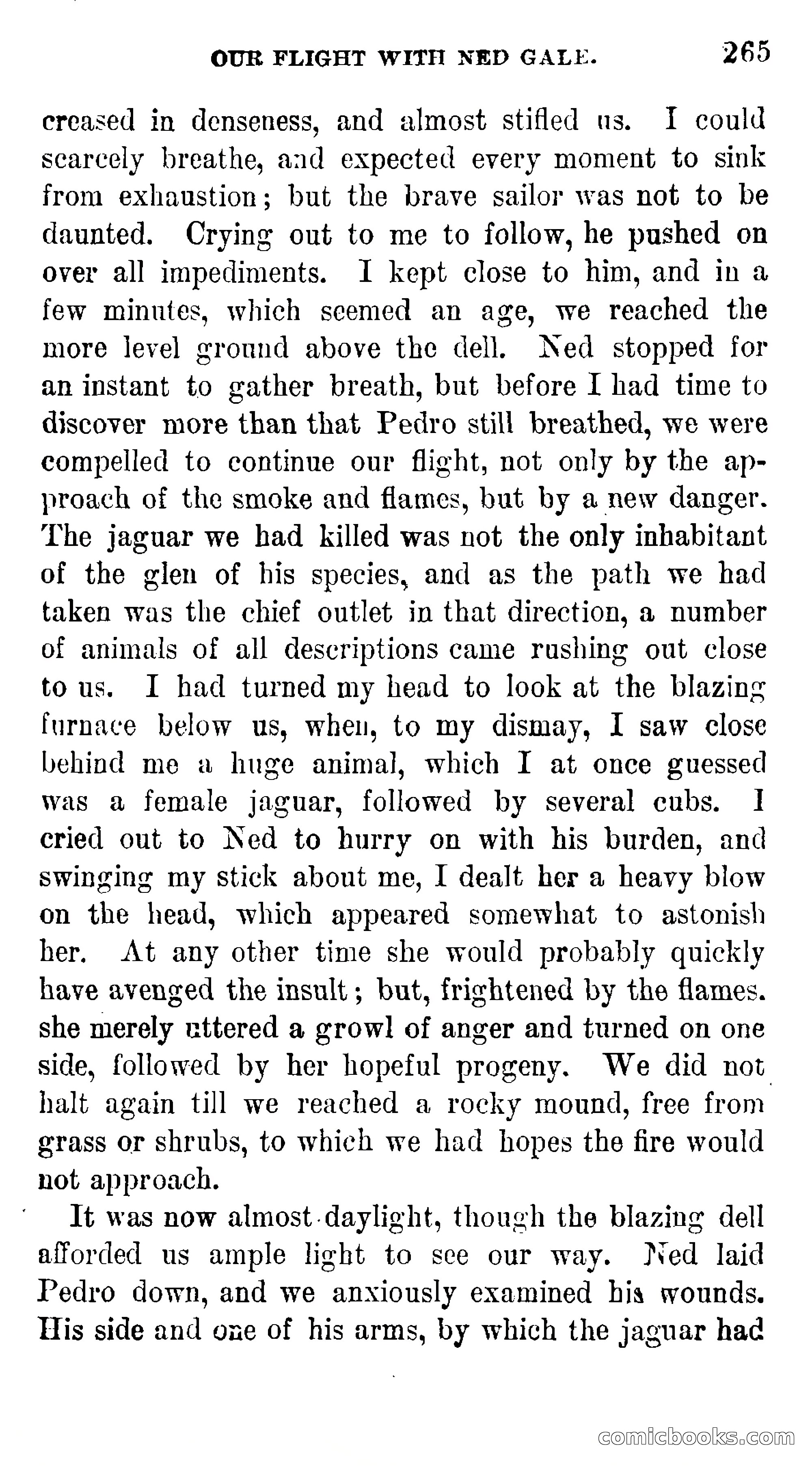 Manco; The Peruvian Chief — page 271 of 377