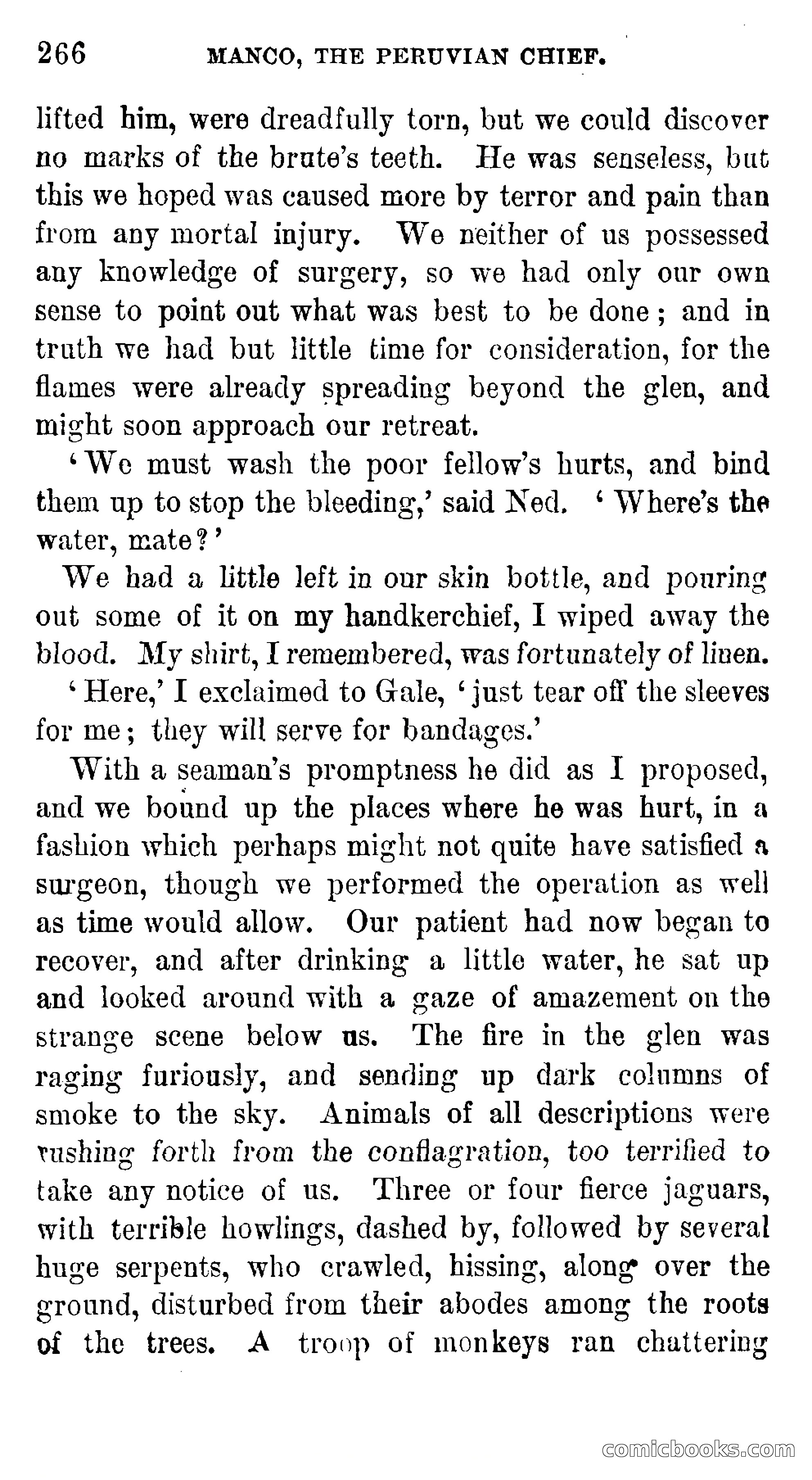 Manco; The Peruvian Chief — page 272 of 377